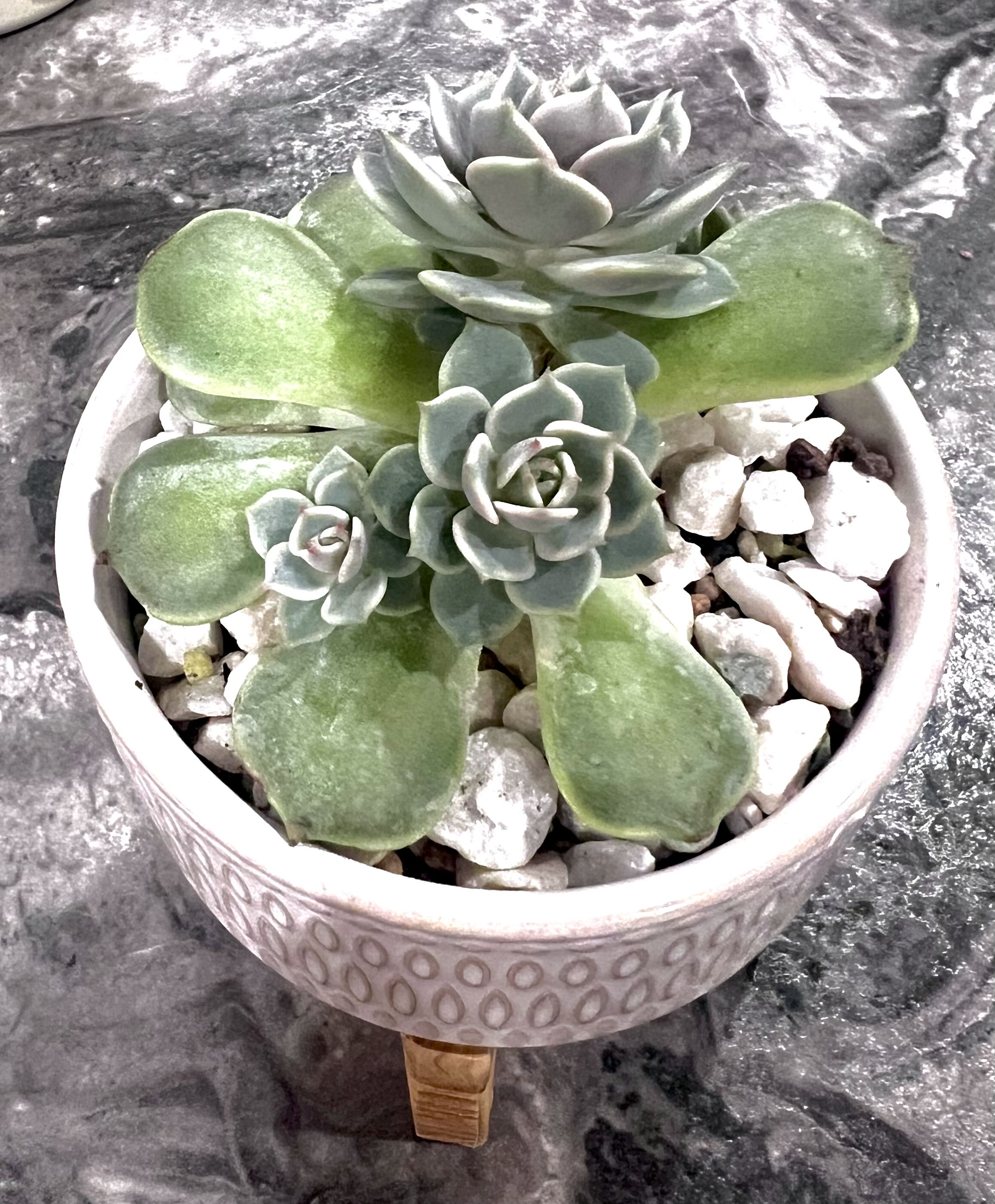 Photo from the post