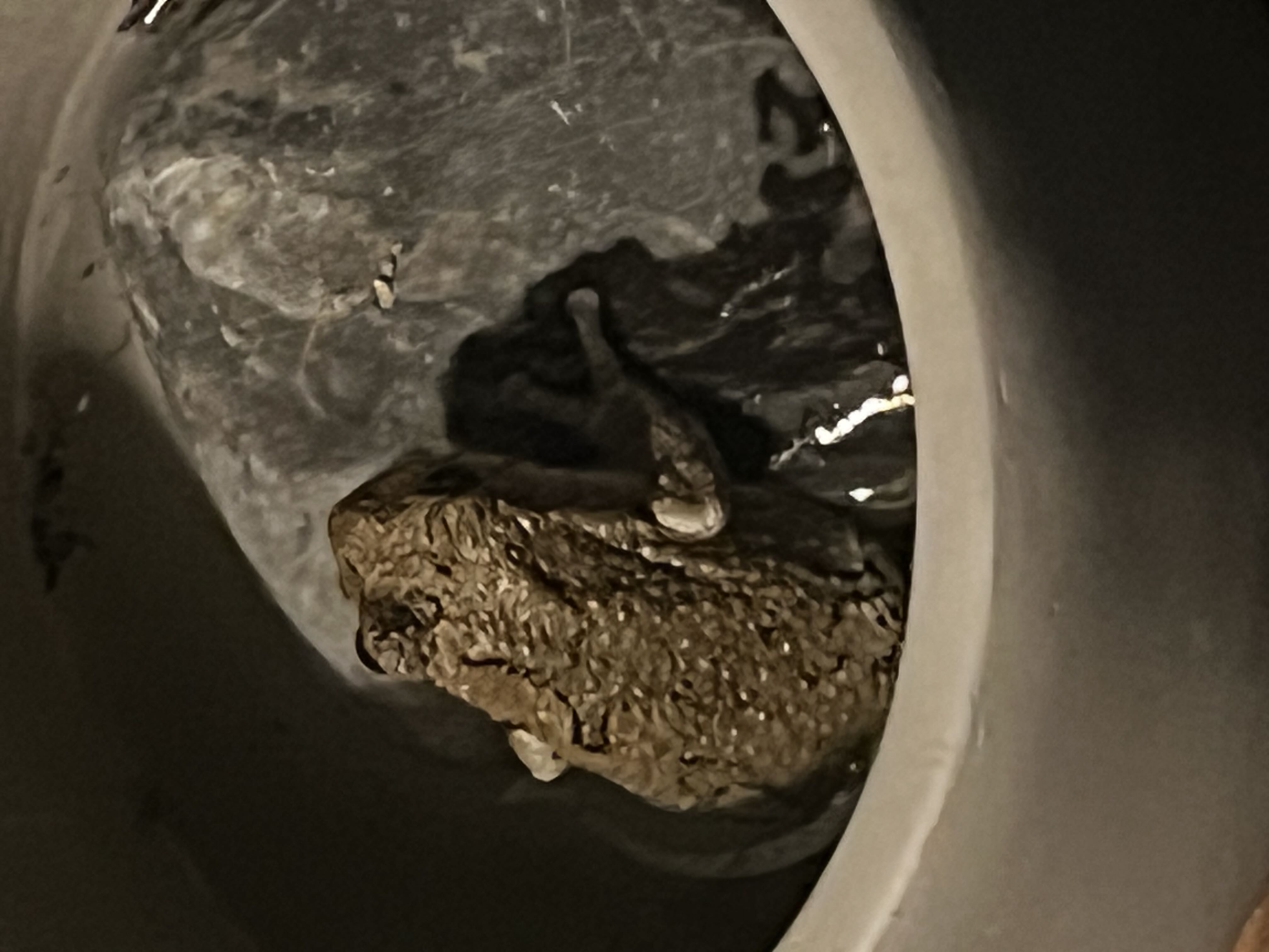 Photo from the post