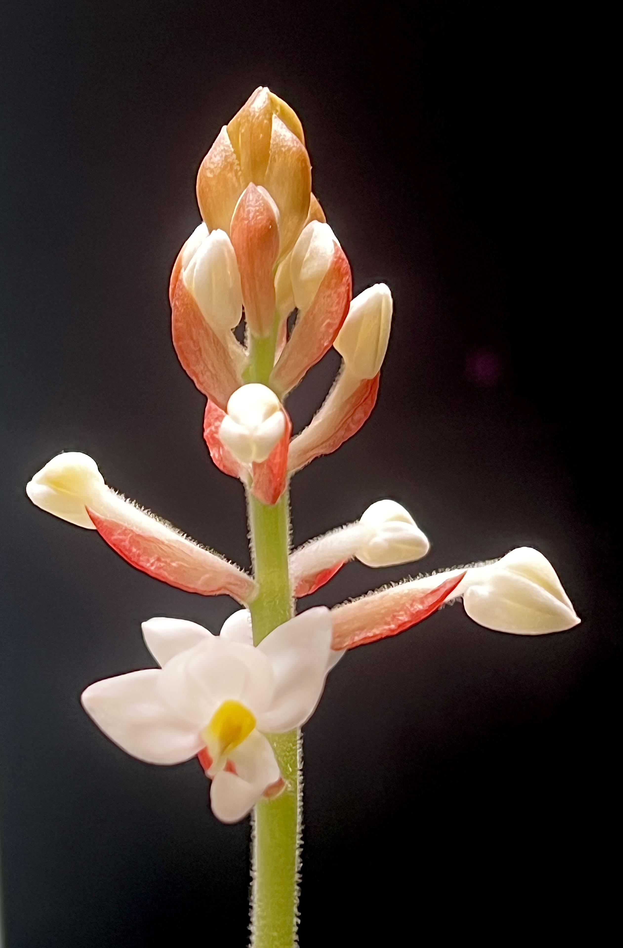 Photo from the post