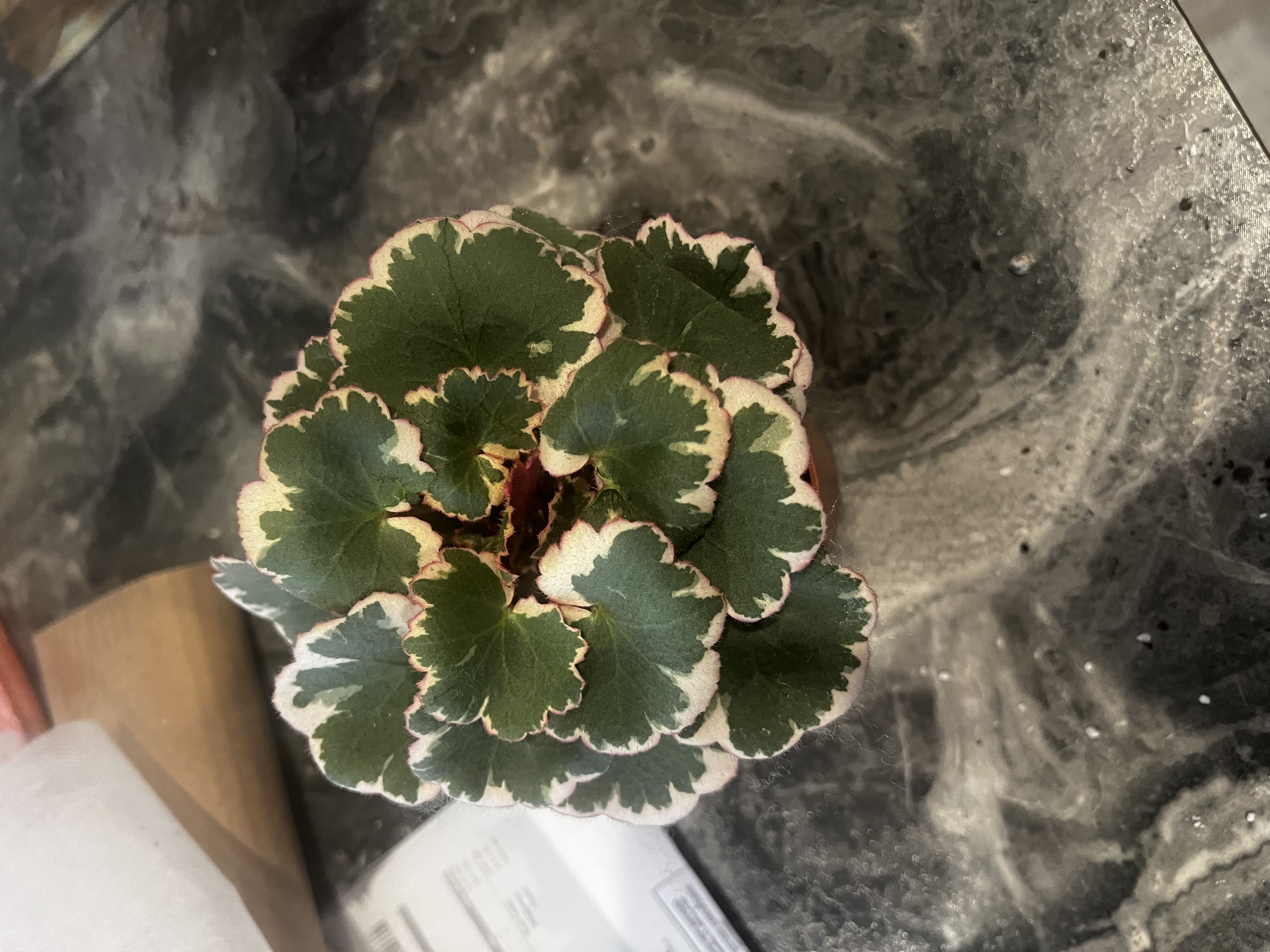 Photo from the post