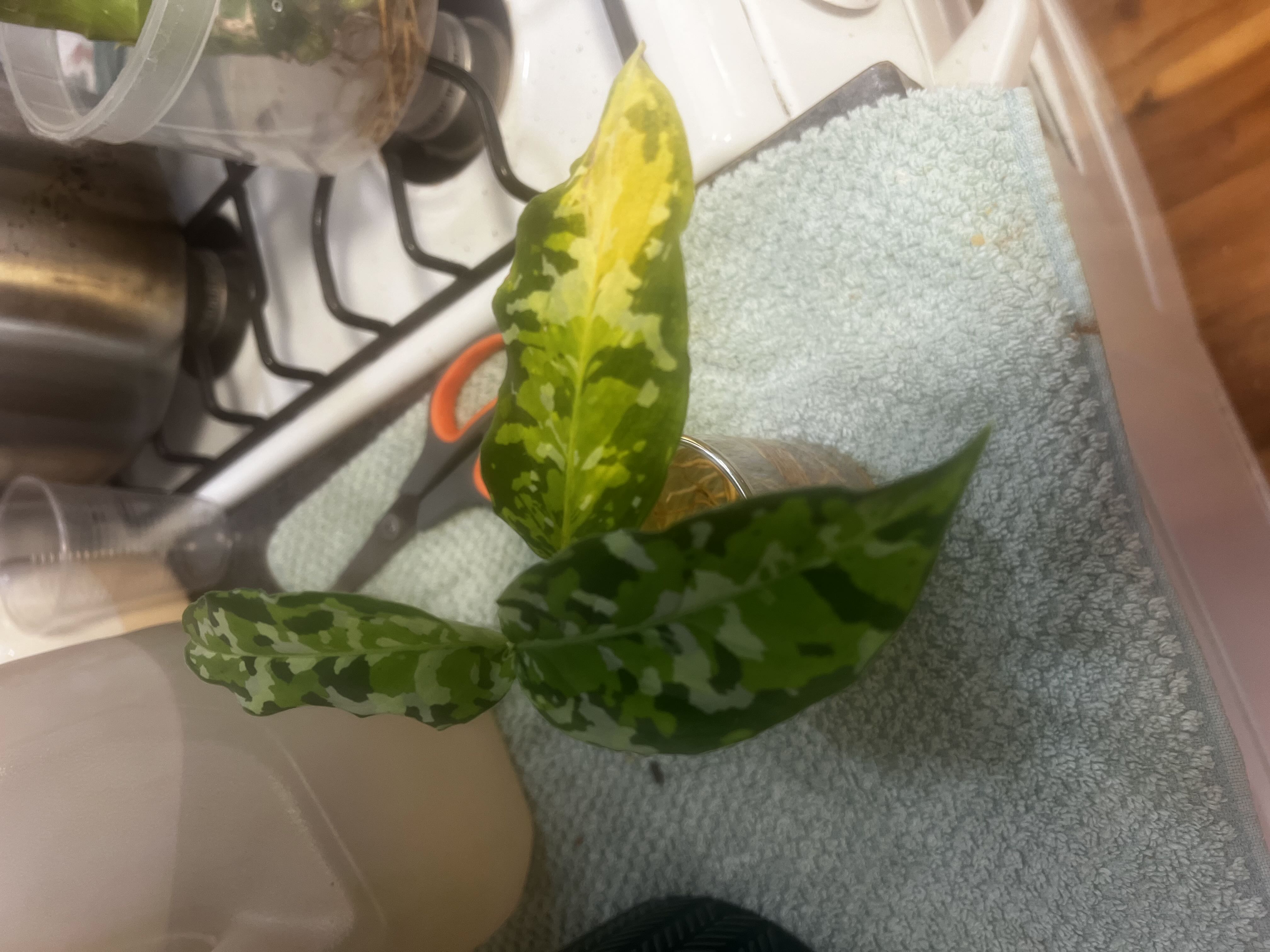 Photo from the post
