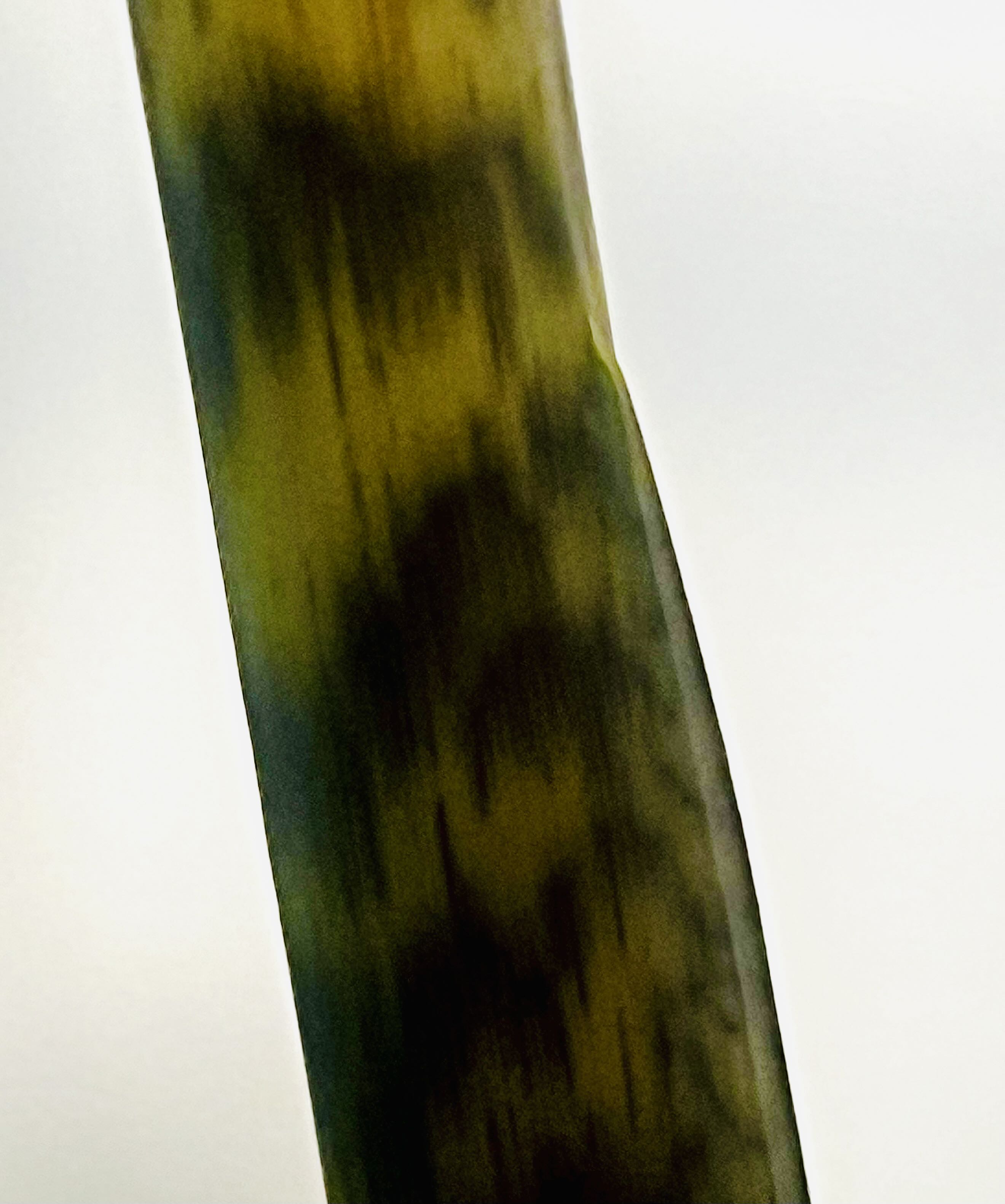 Photo from the post