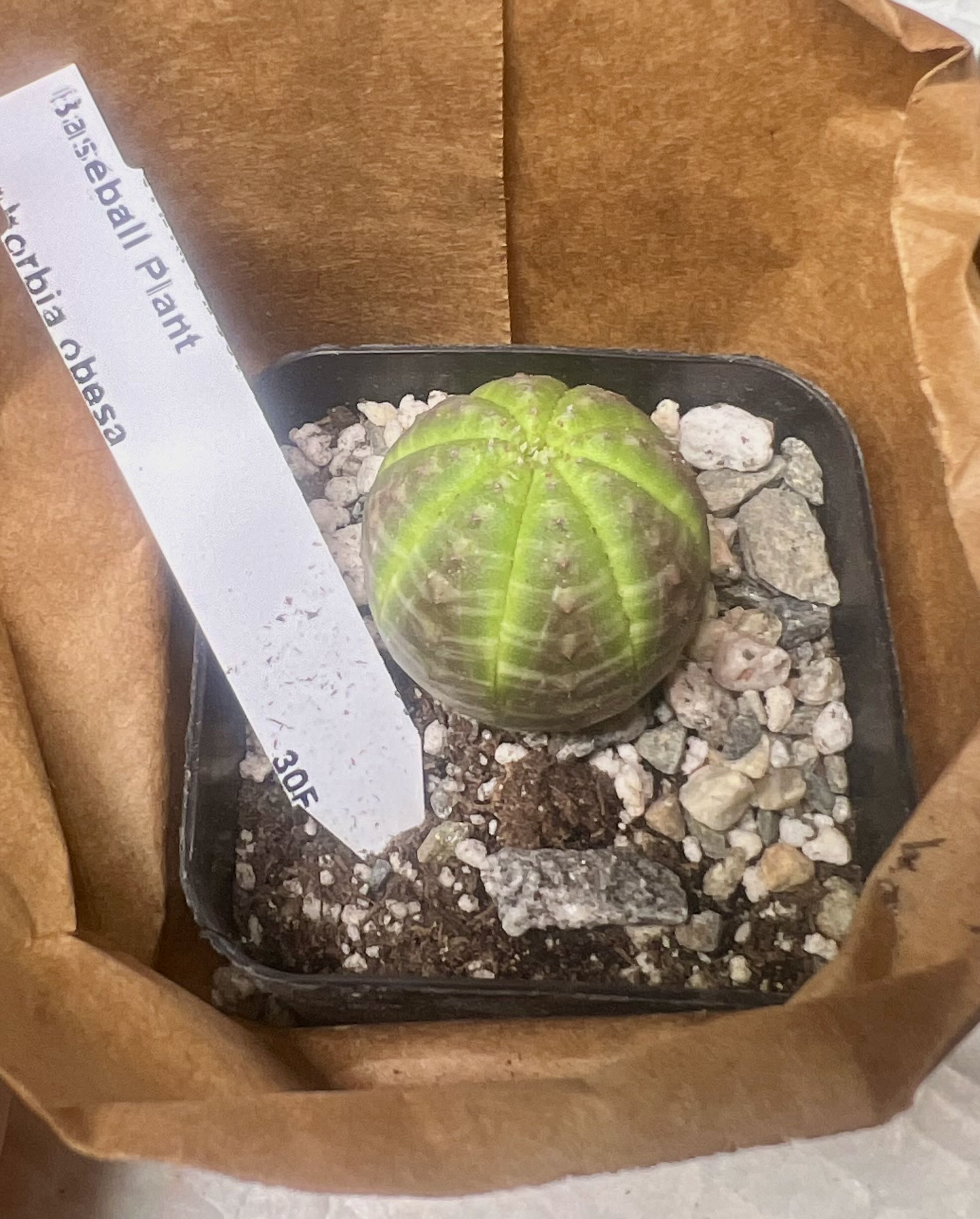 Photo from the post