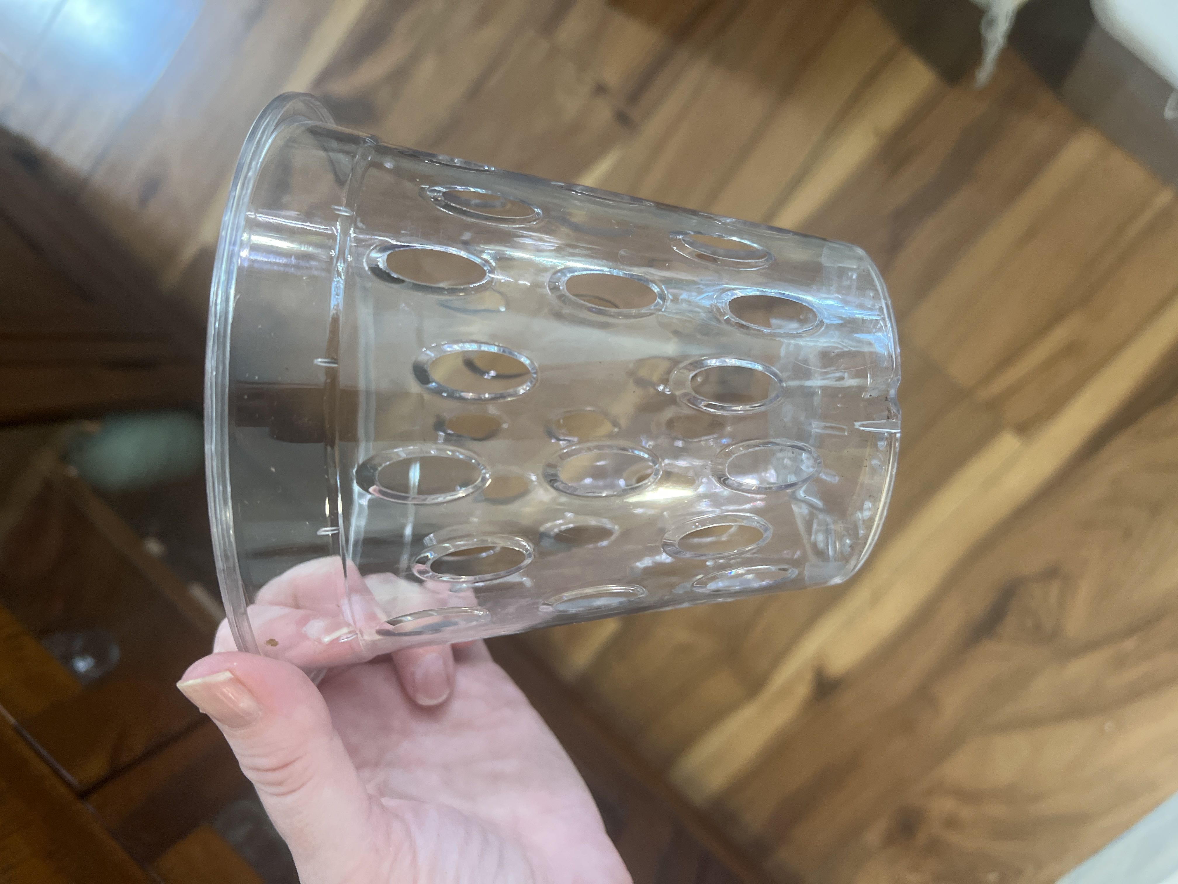 Photo from the post