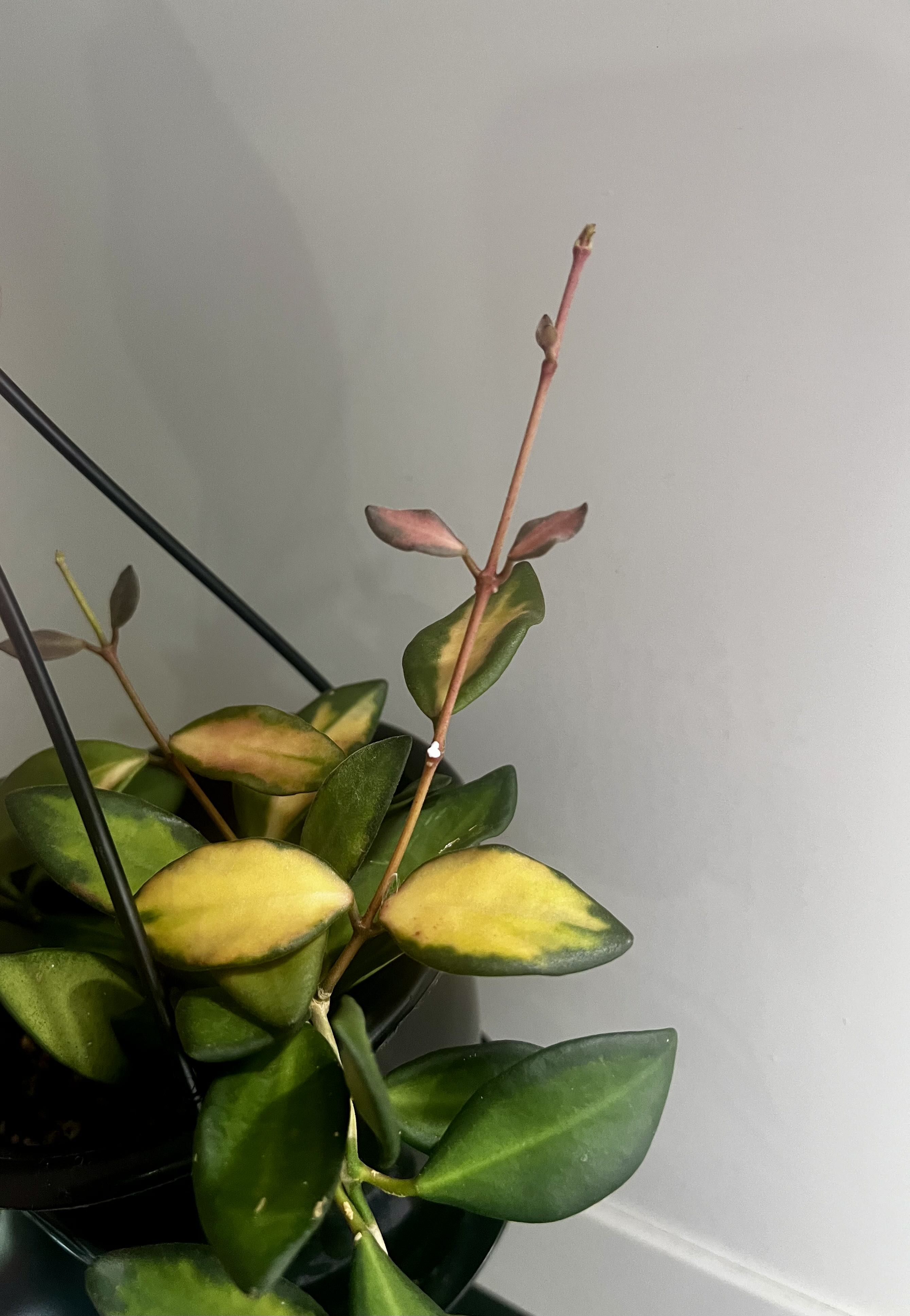 Photo from the post