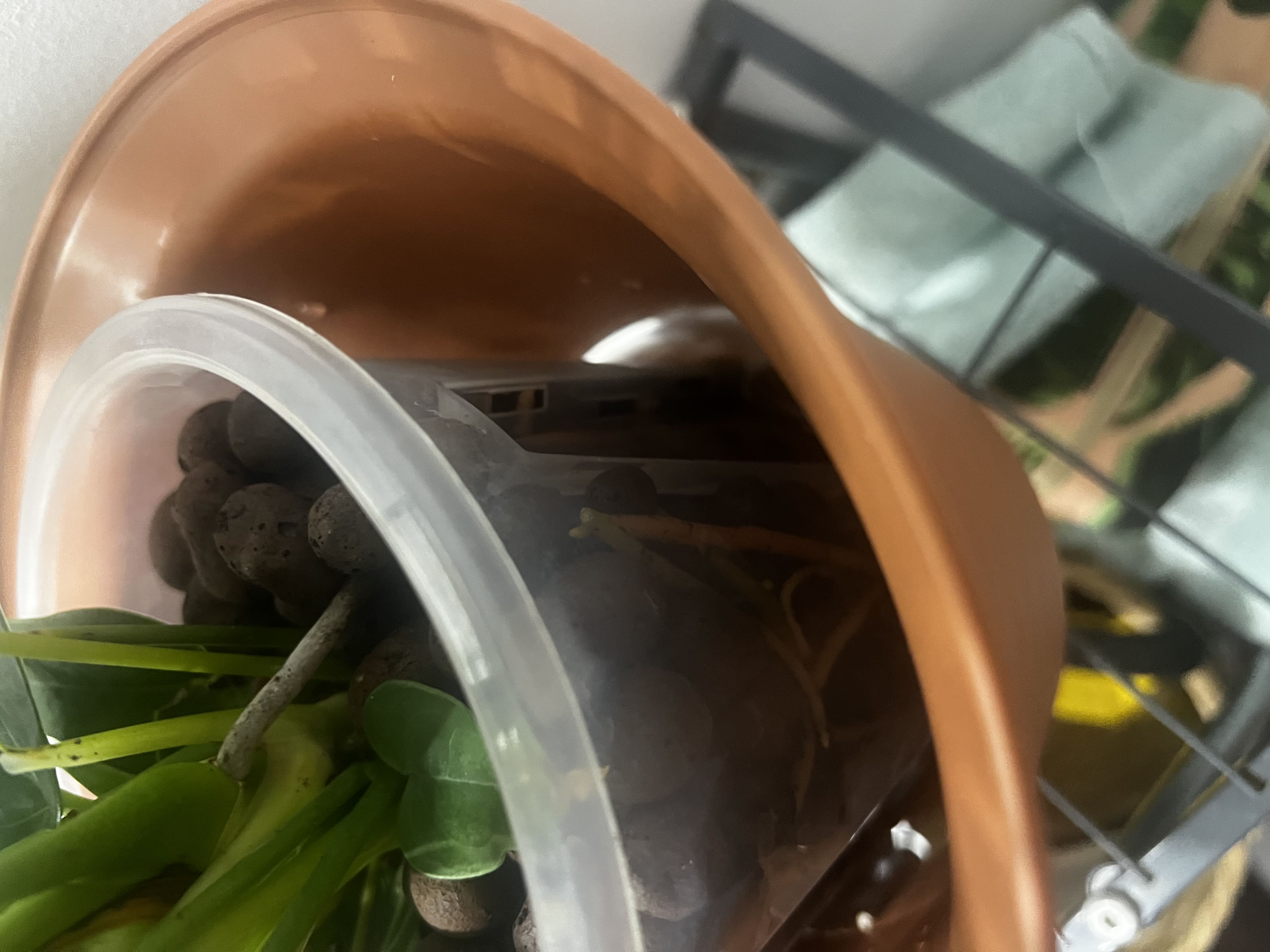 Photo from the post
