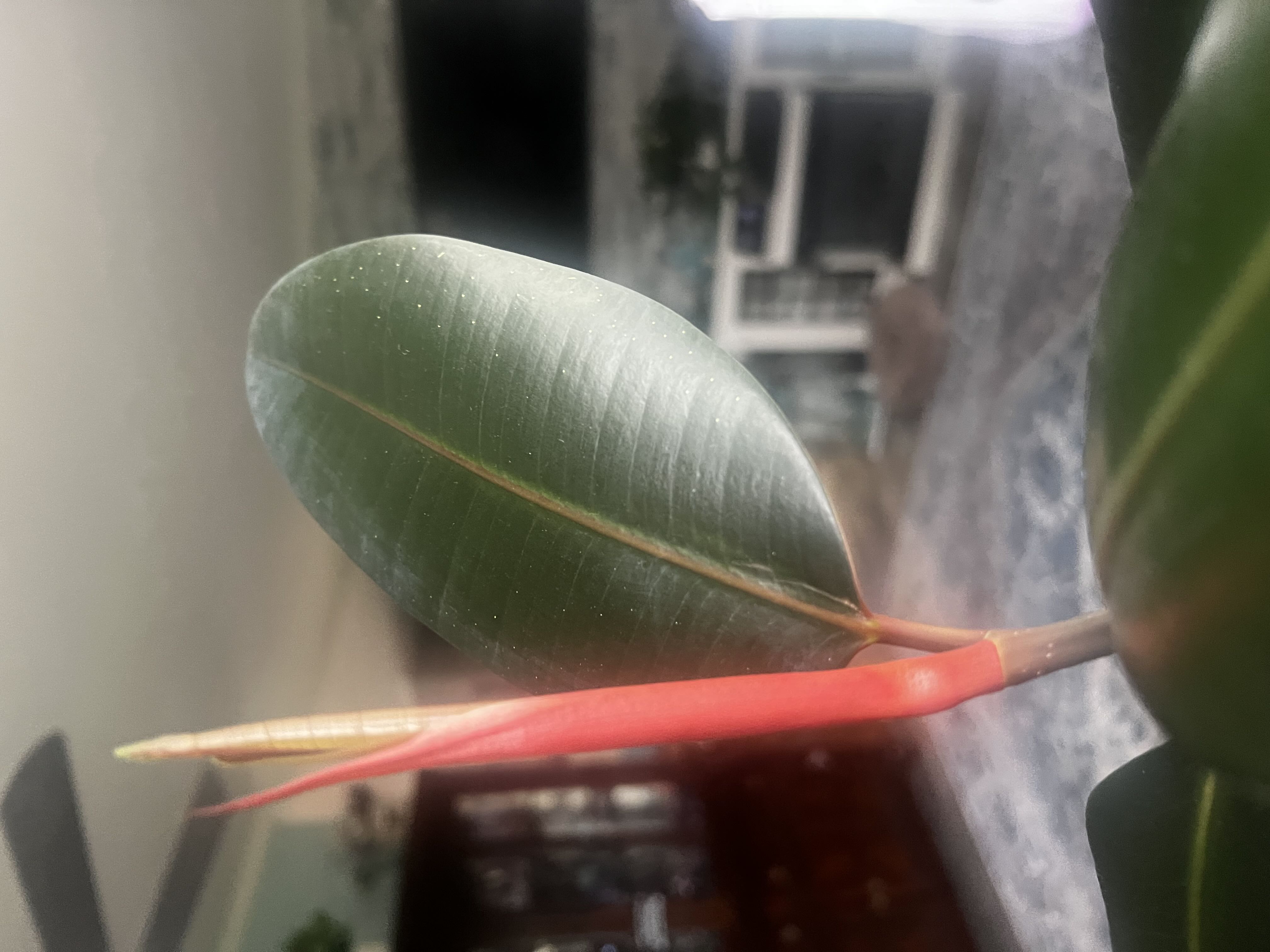 Photo from the post