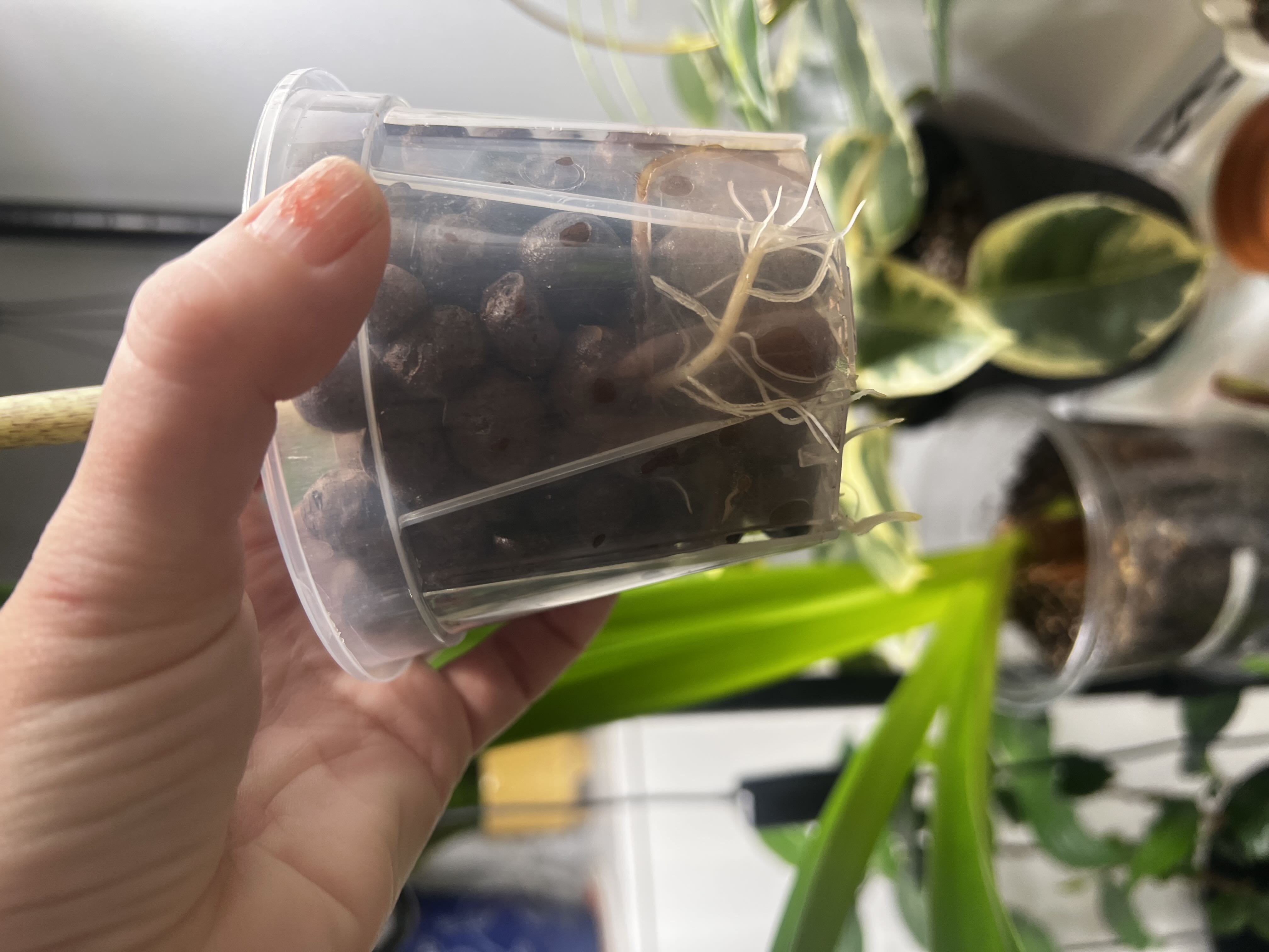 Photo from the post