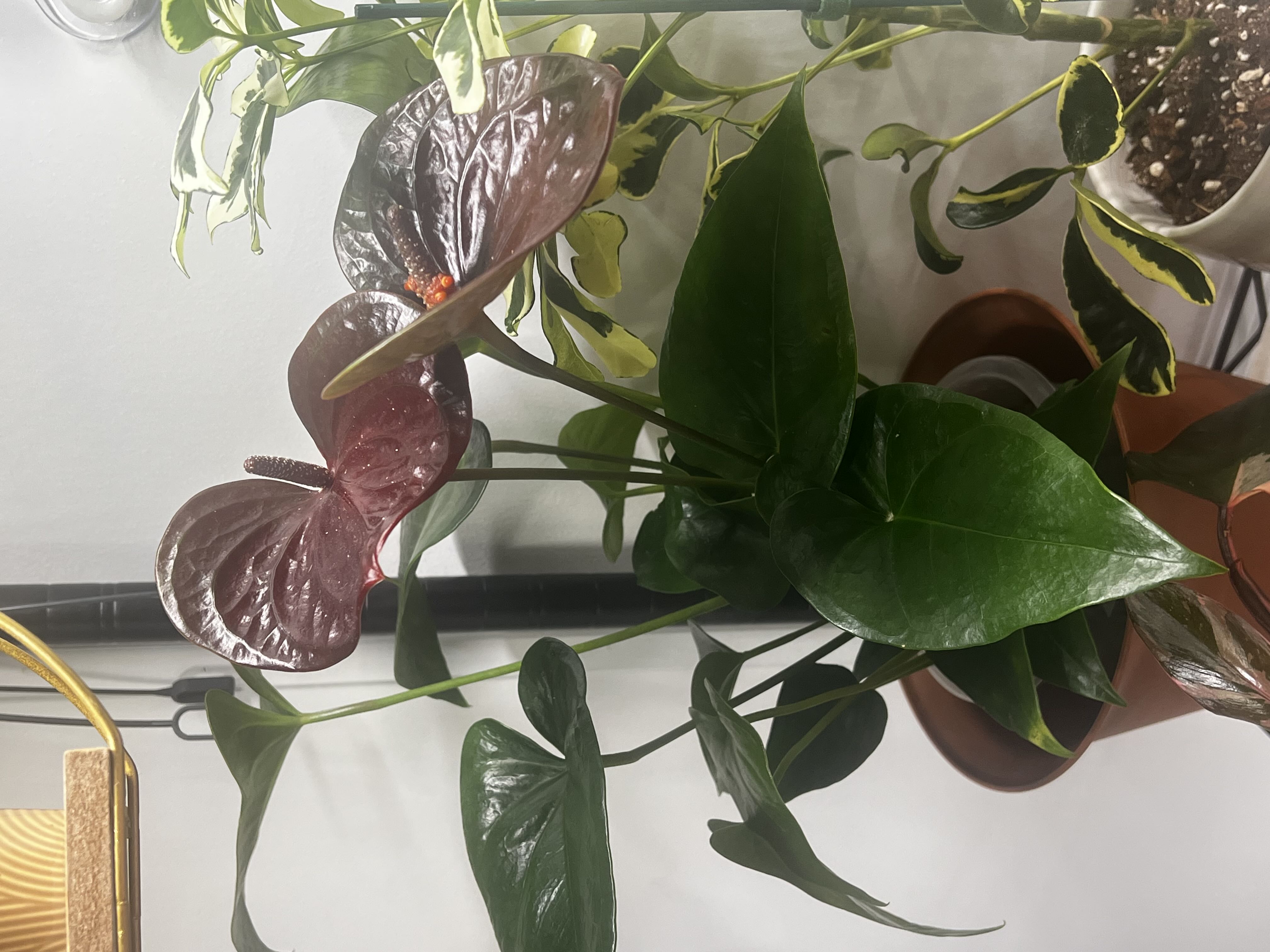 Photo from the post