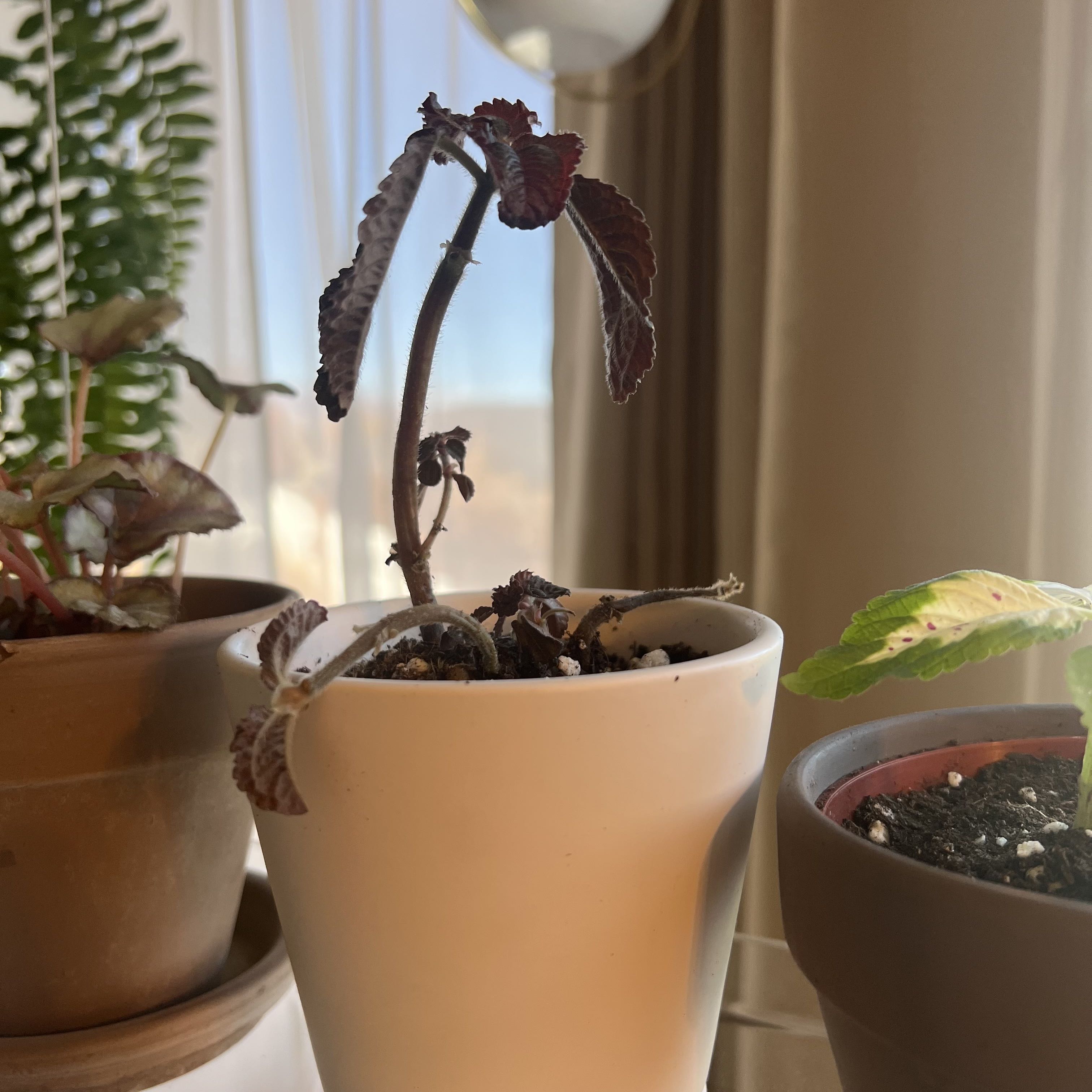 Photo from the post