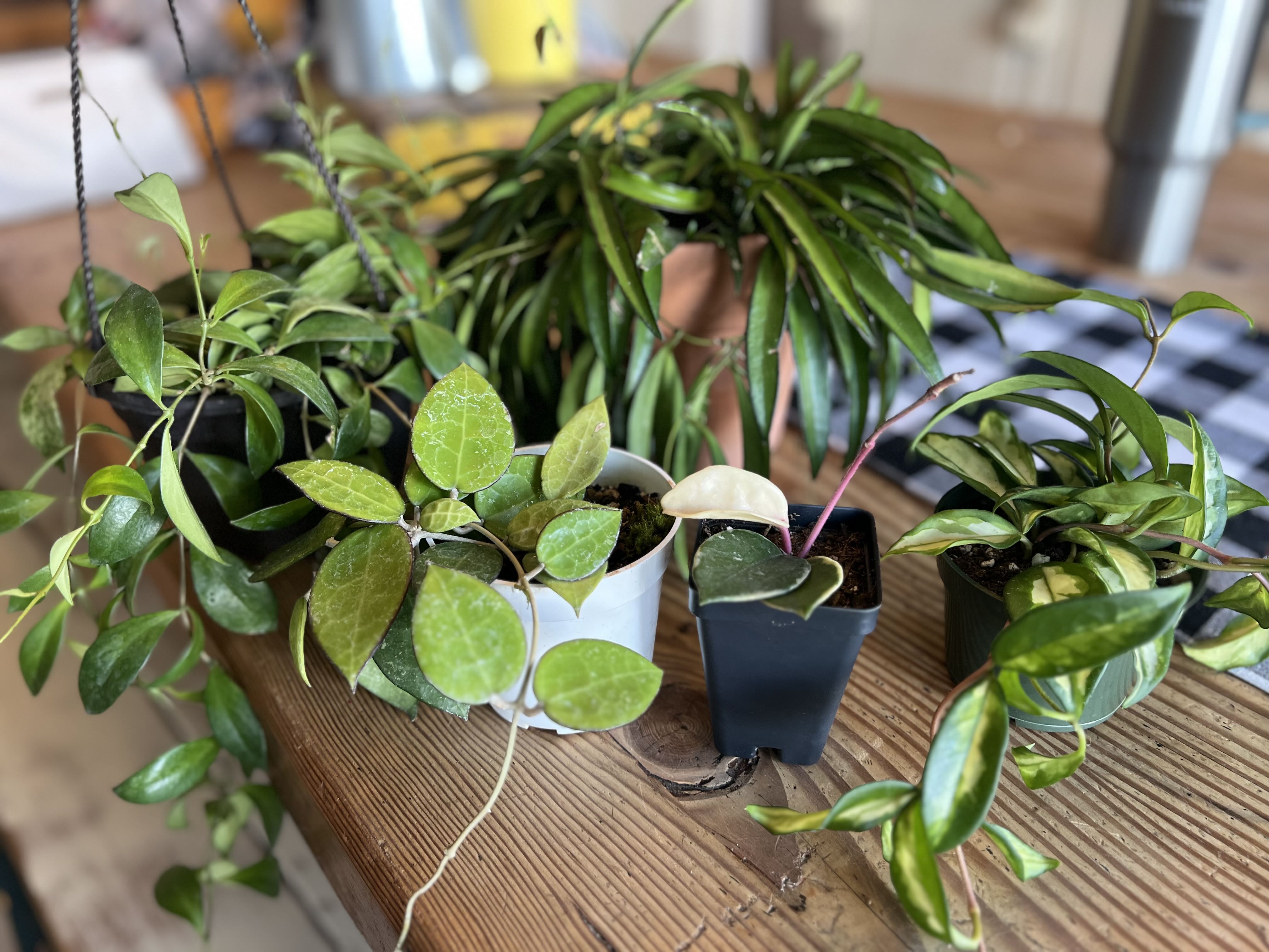 Houston, we have a problem…