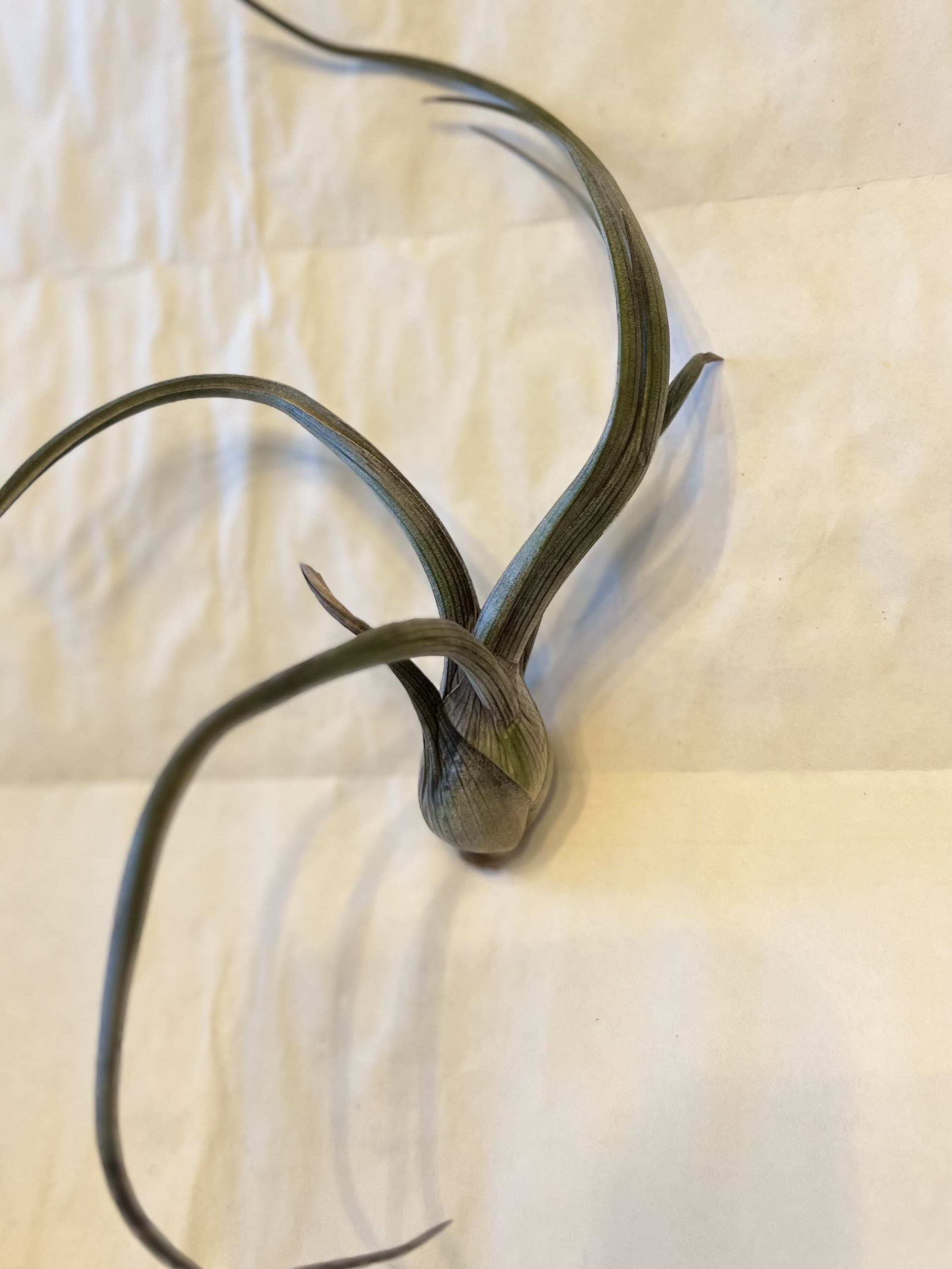 Photo from the post