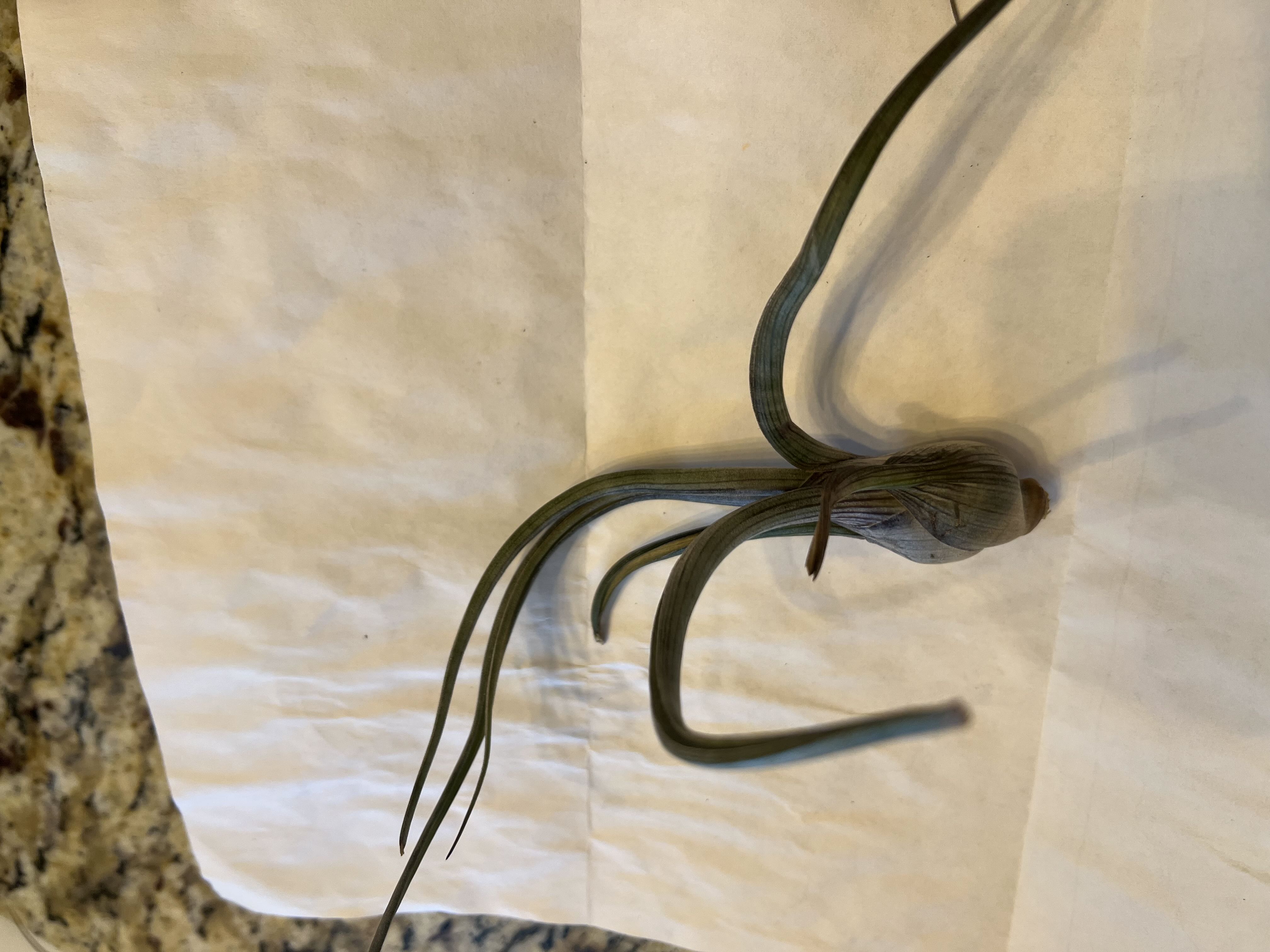 Photo from the post