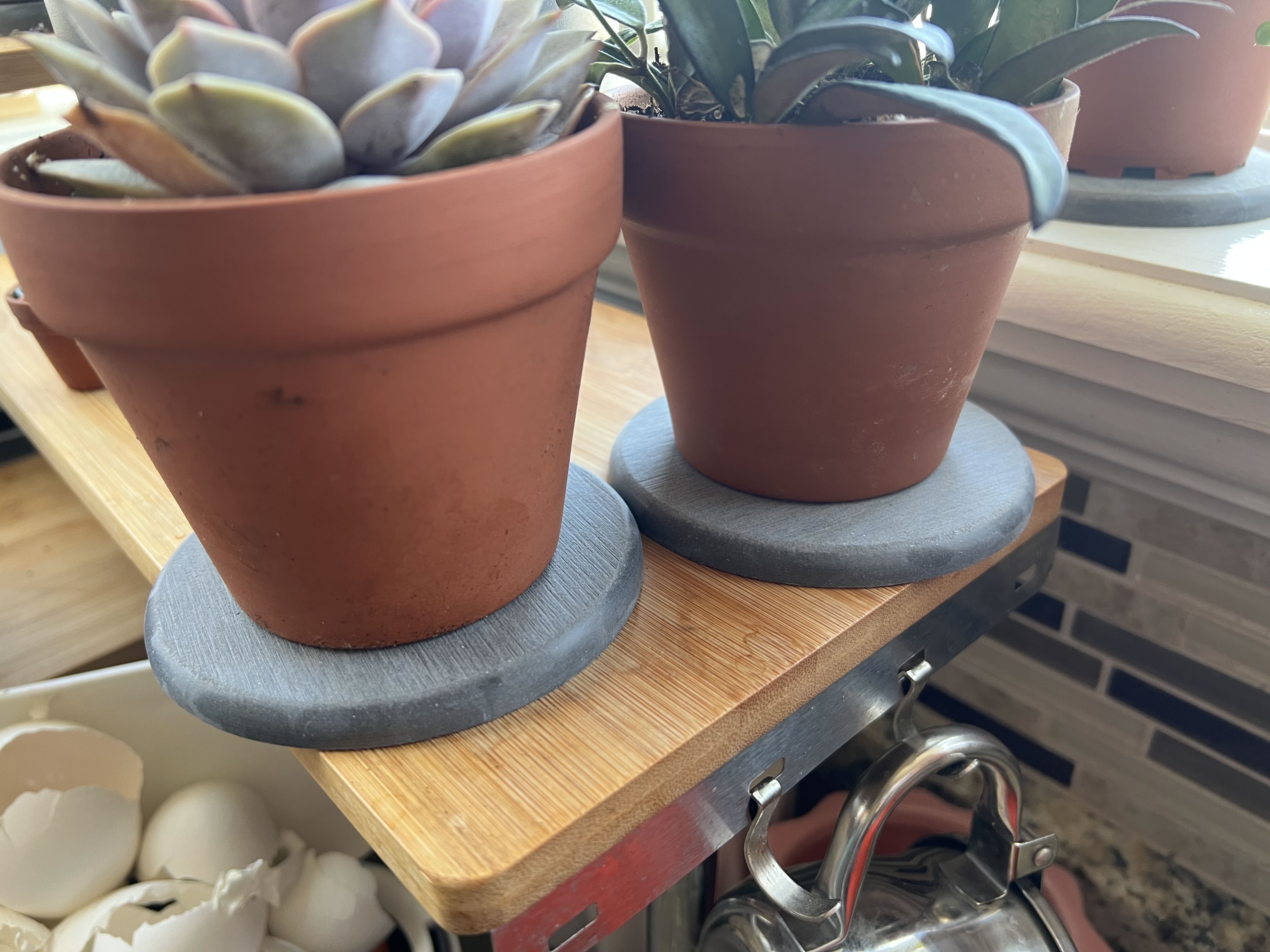 Photo from the post