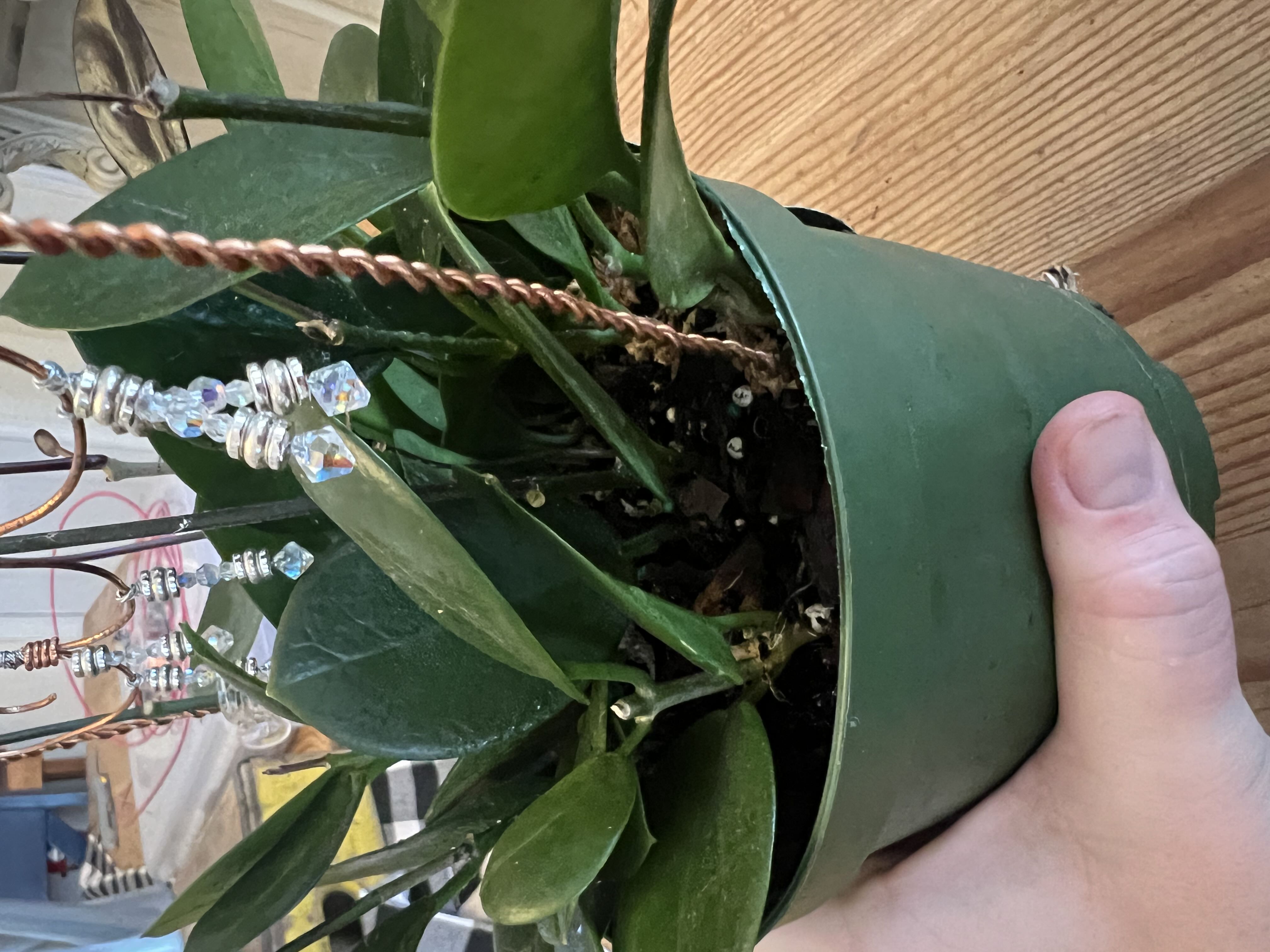 Photo from the post