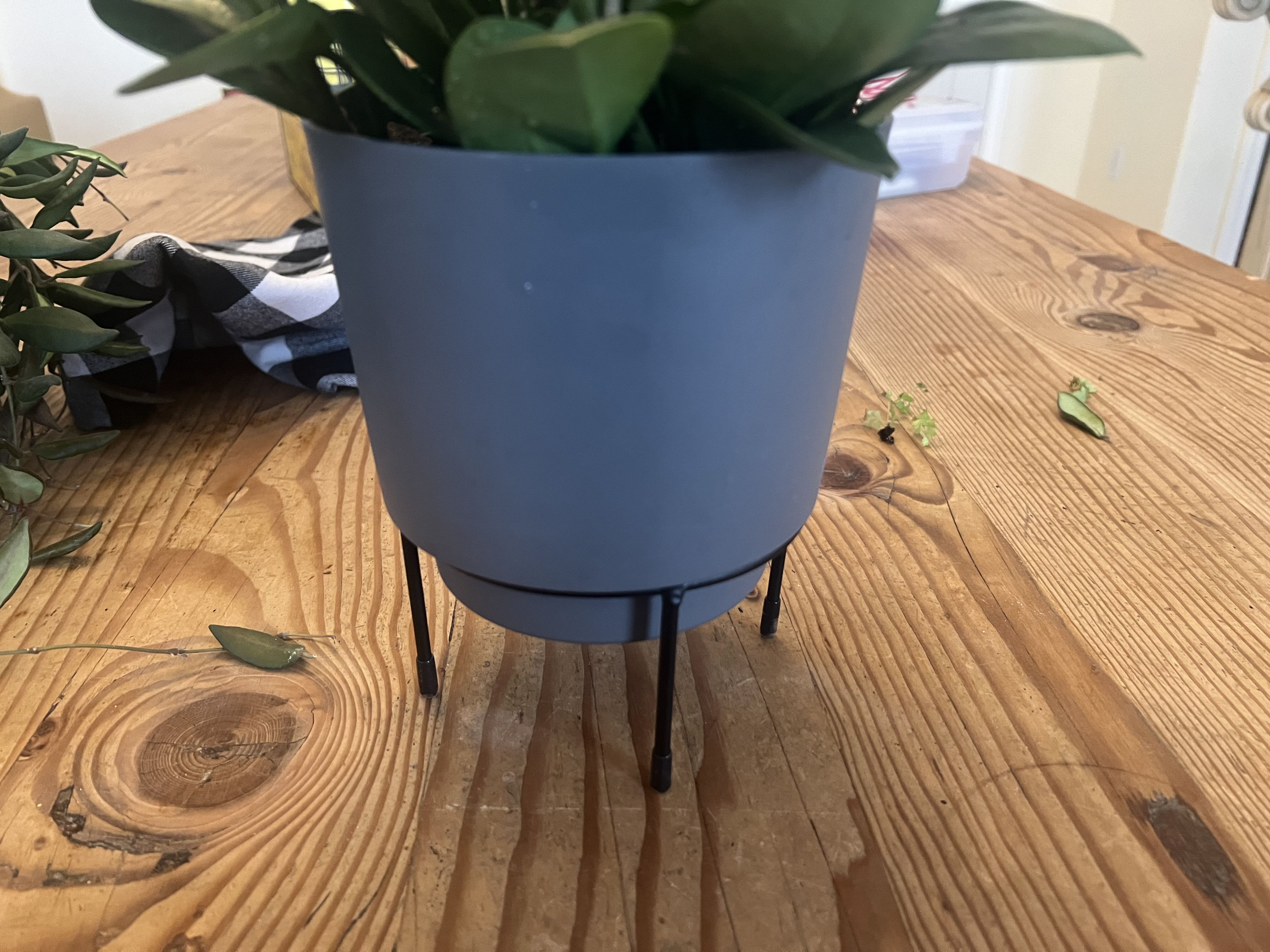 Photo from the post