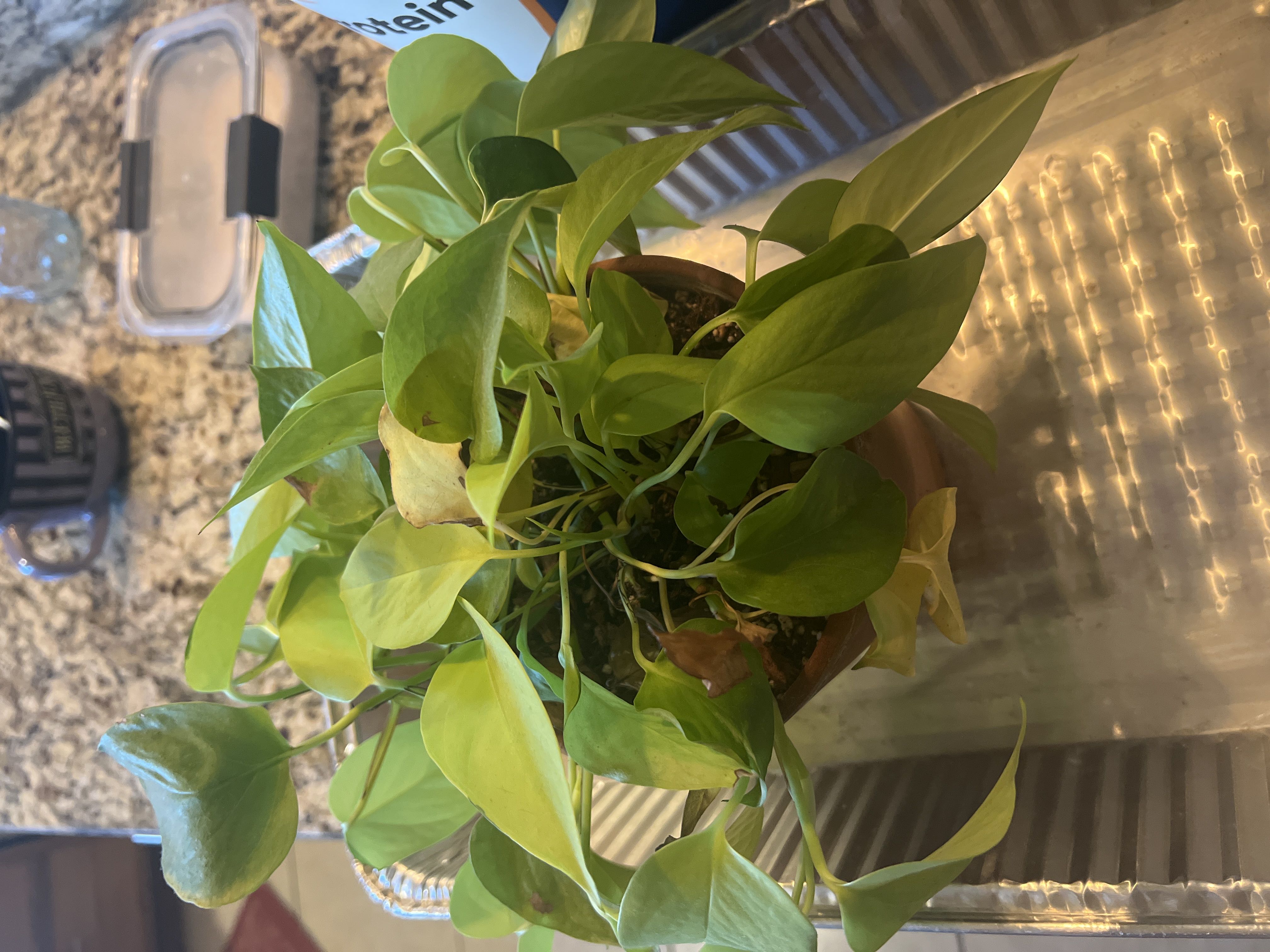 Photo from the post