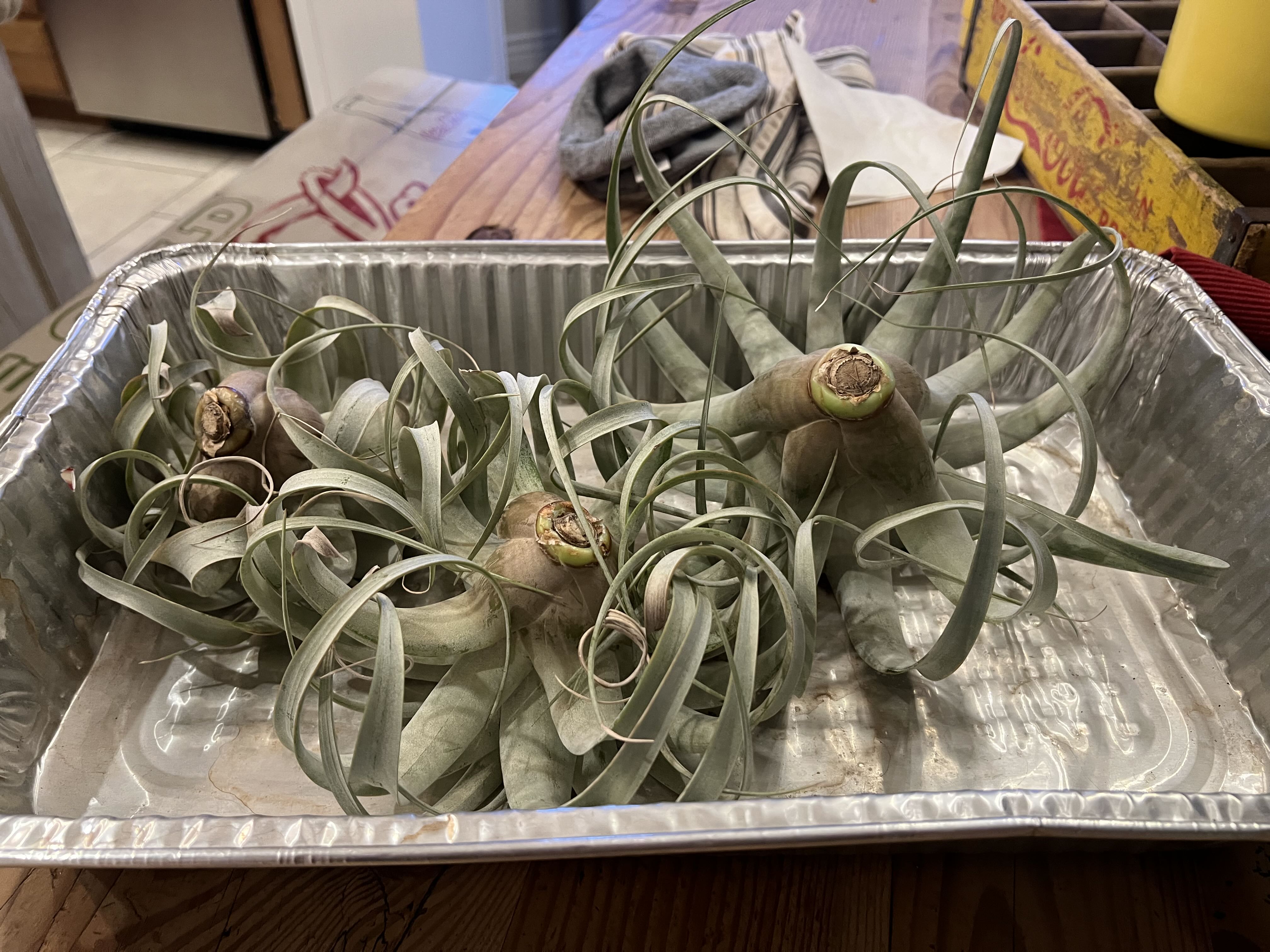 Photo from the post