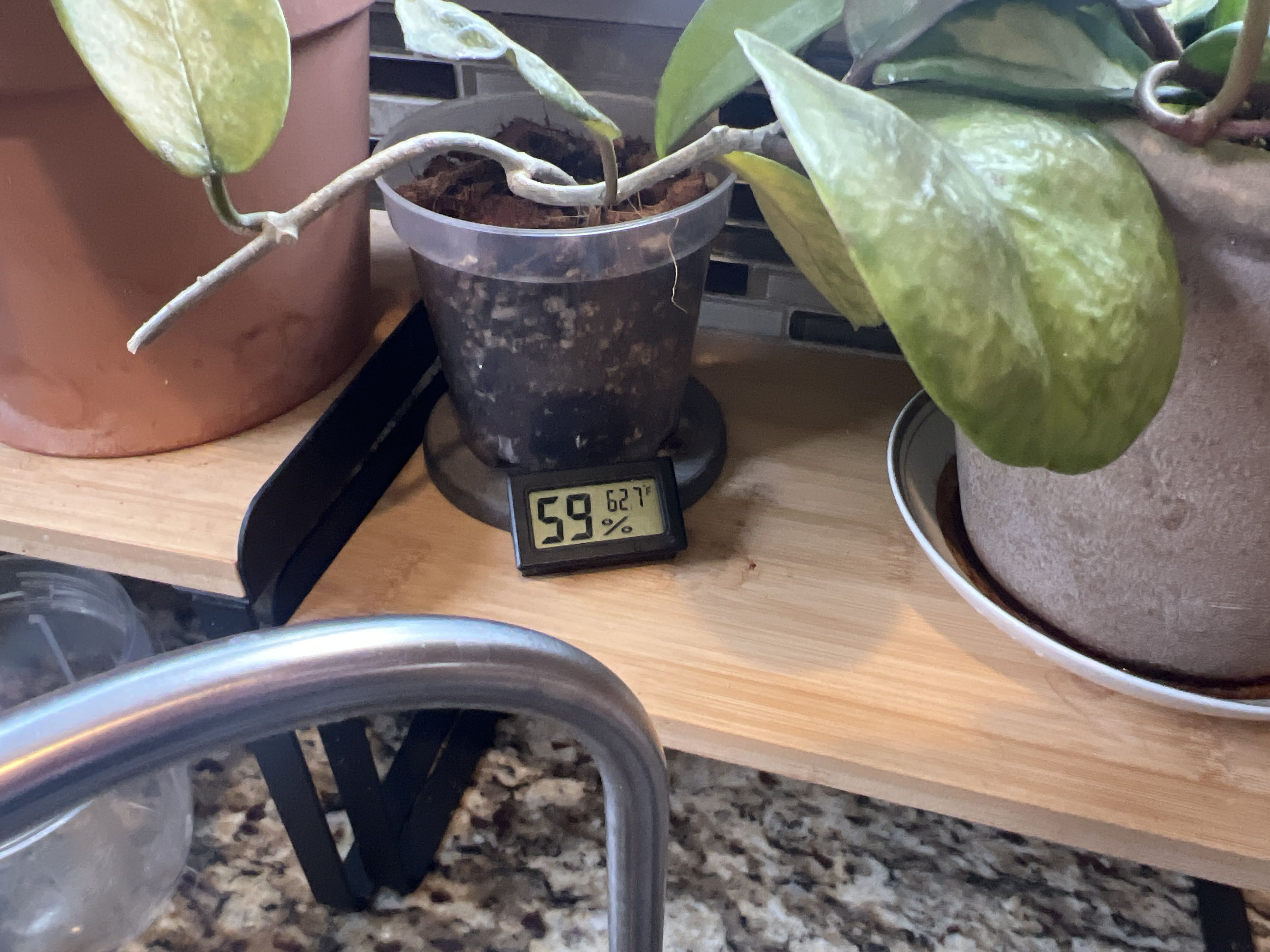 Photo from the post