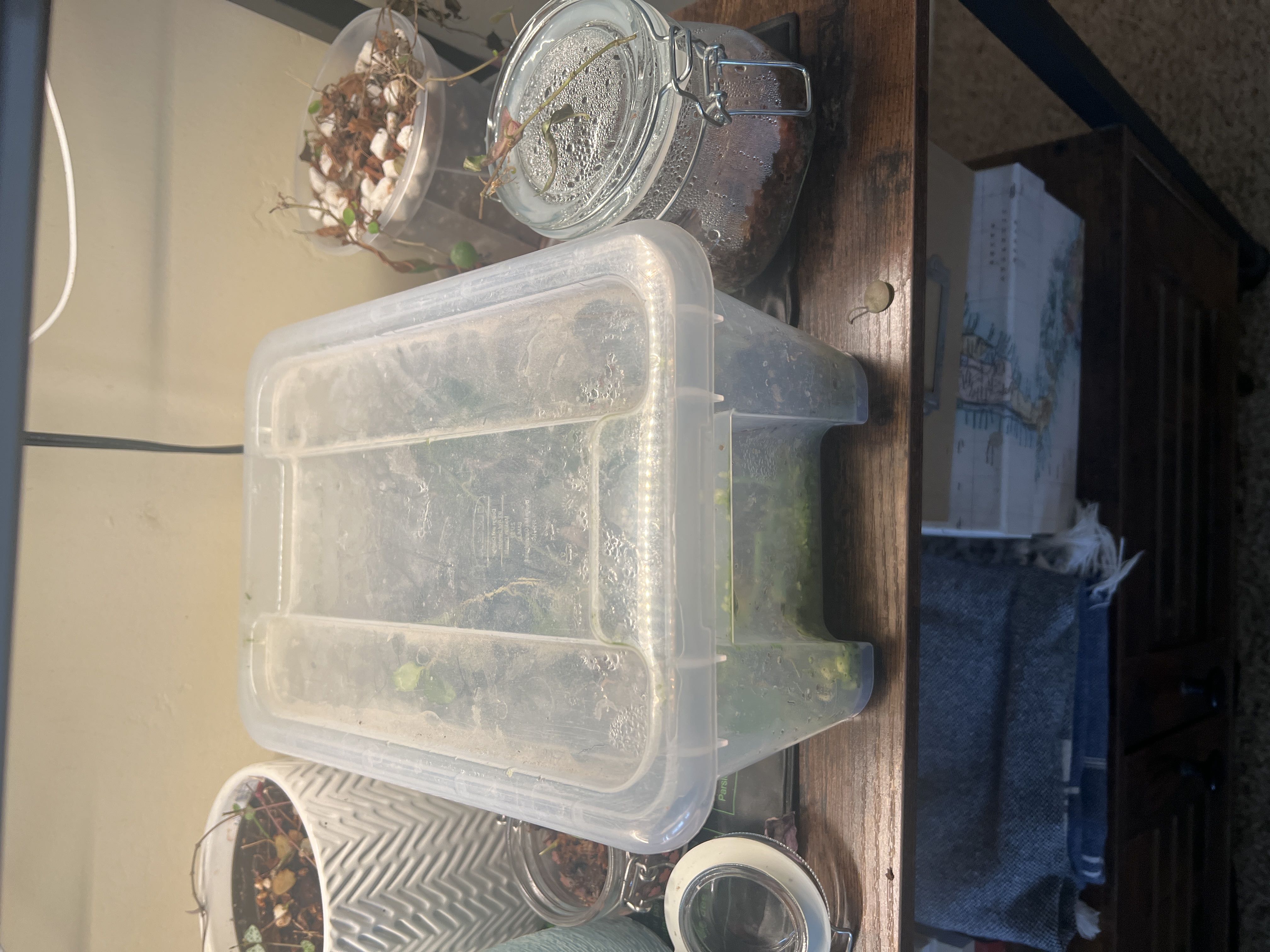 Photo from the post