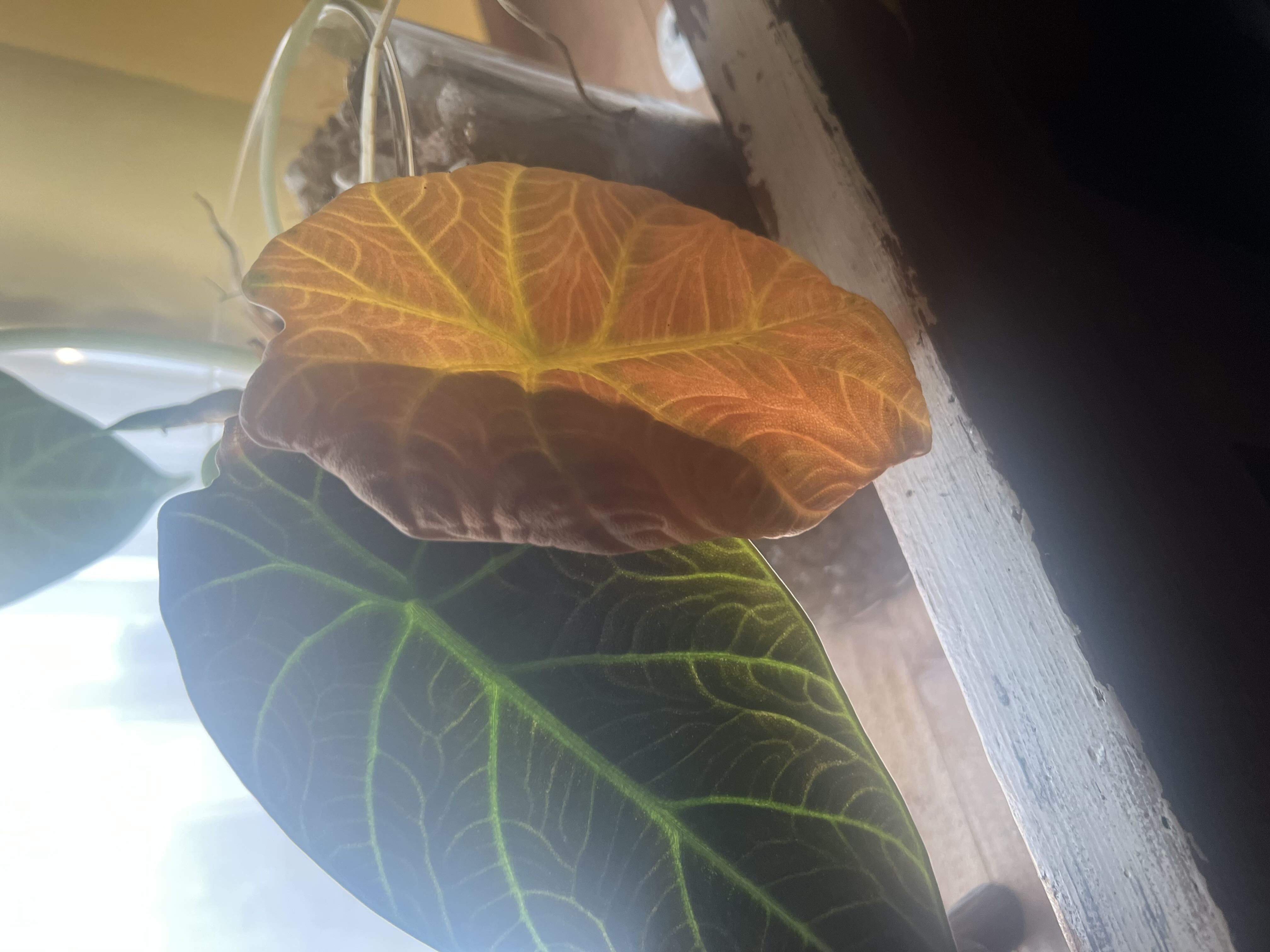 Photo from the post
