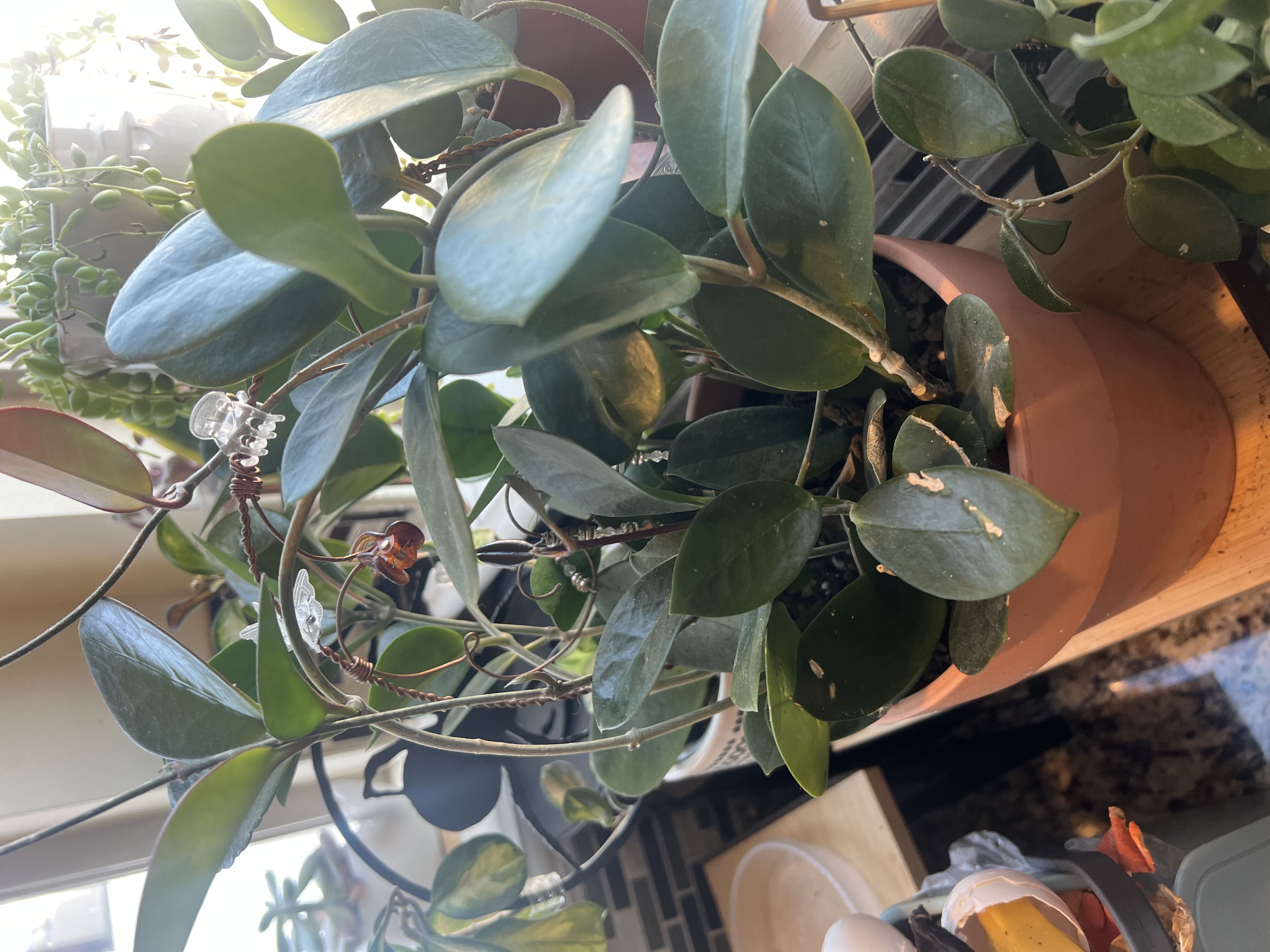 Photo from the post