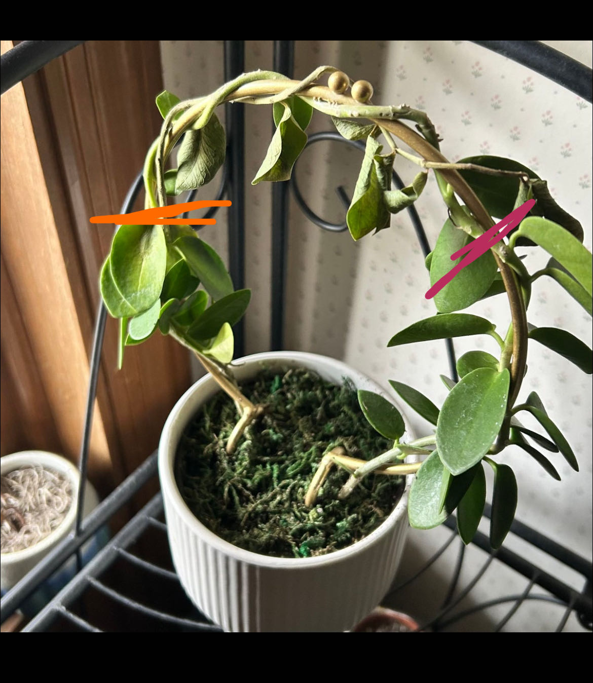 Photo from the post