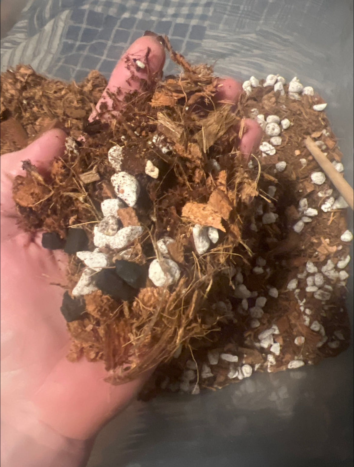 Photo from the post