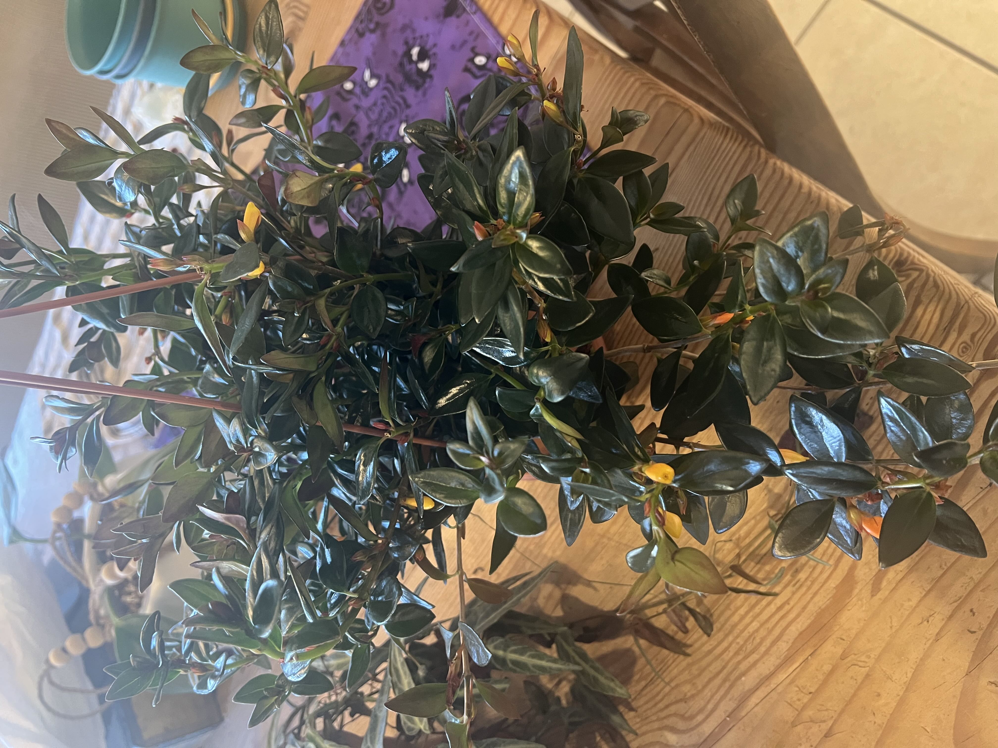 Photo from the post