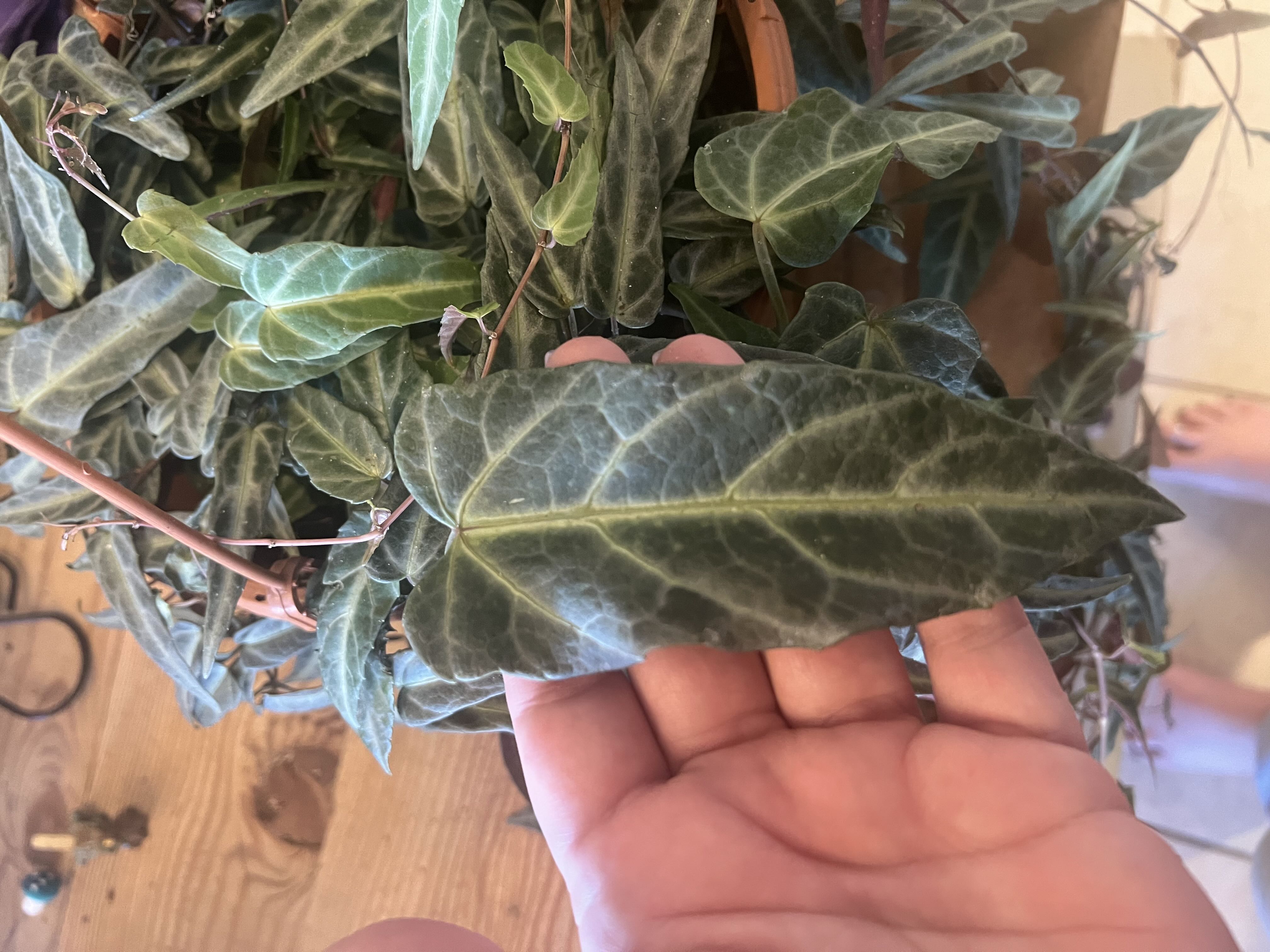 Photo from the post