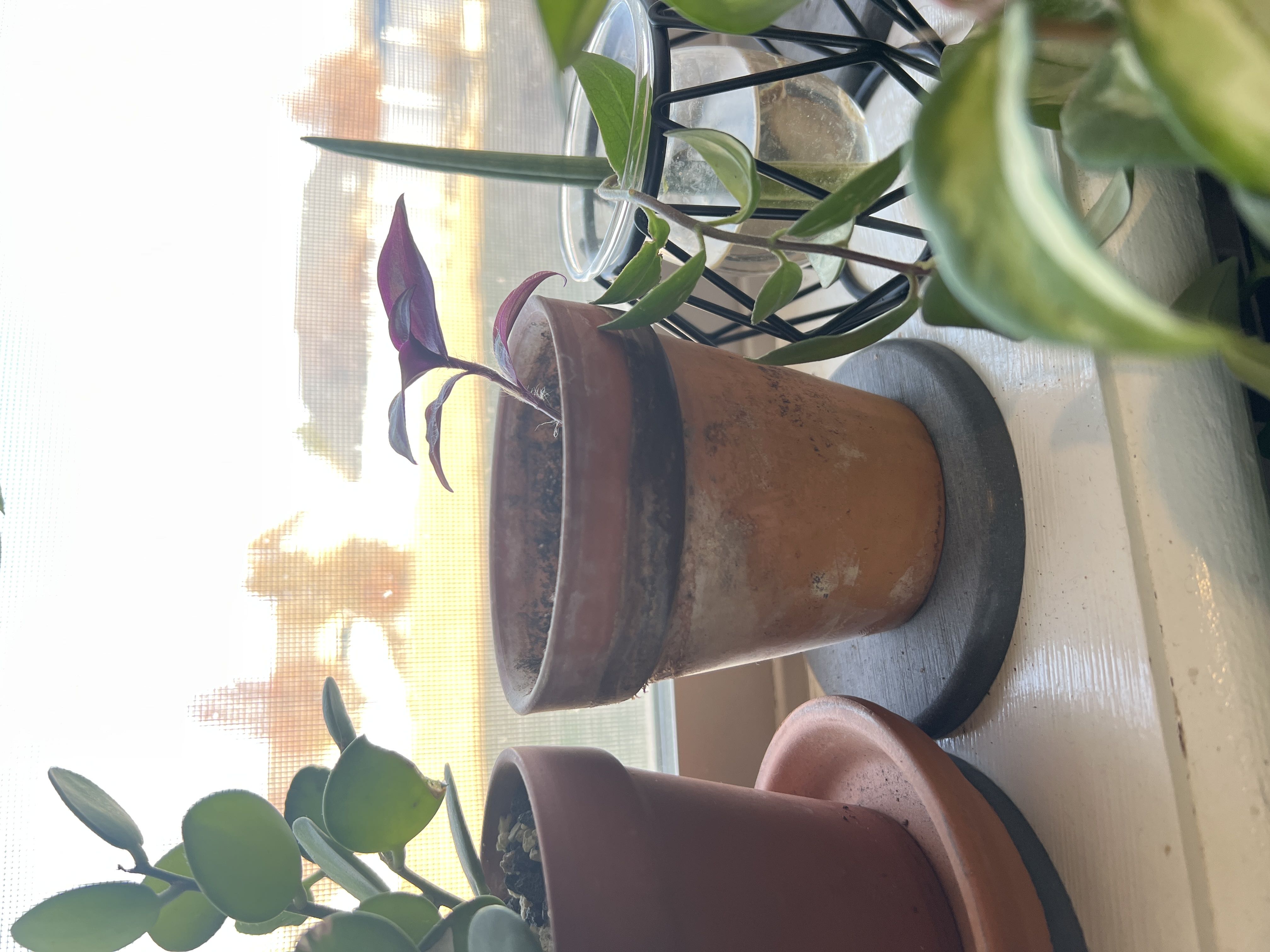 Photo from the post