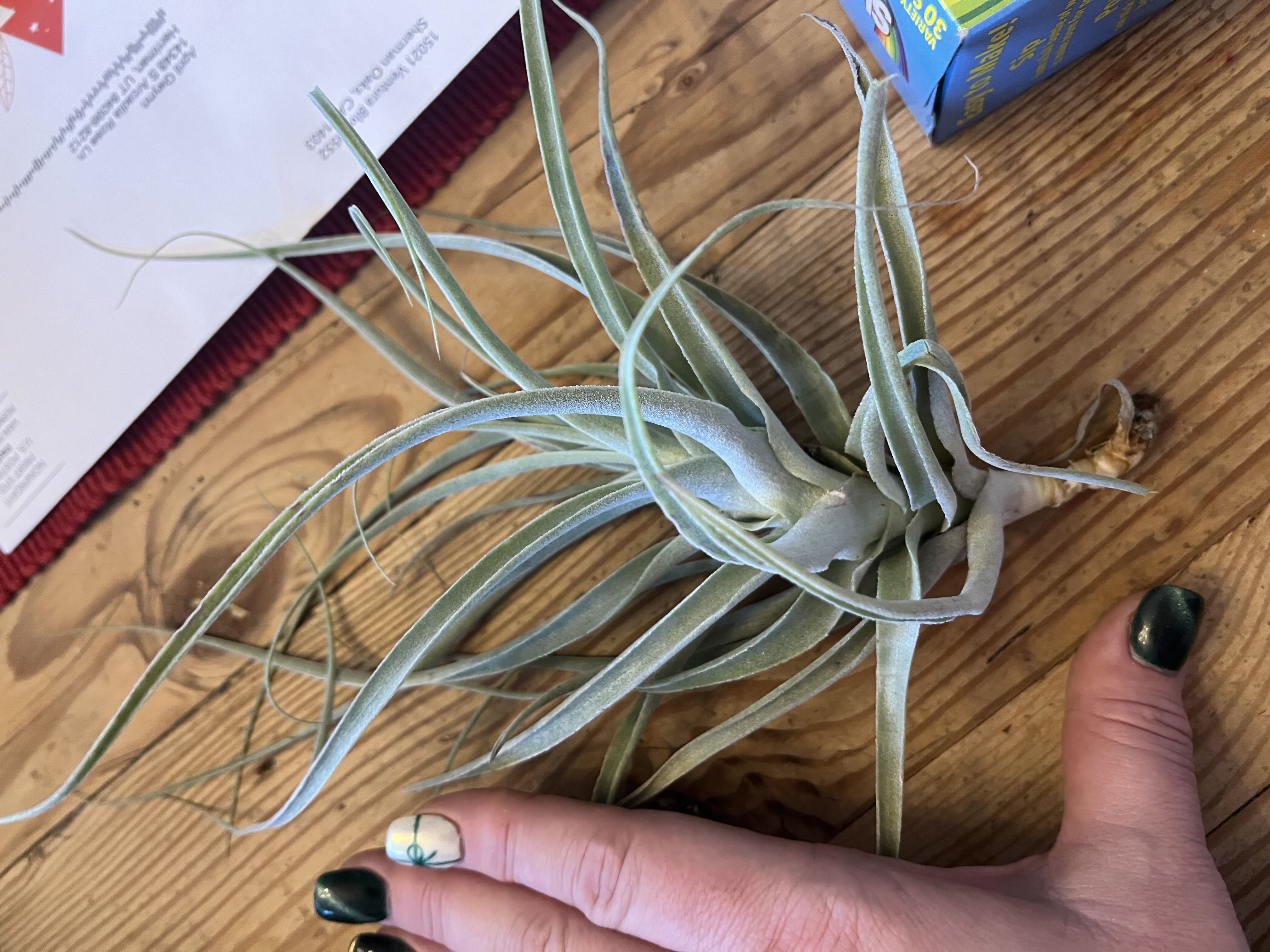Photo from the post