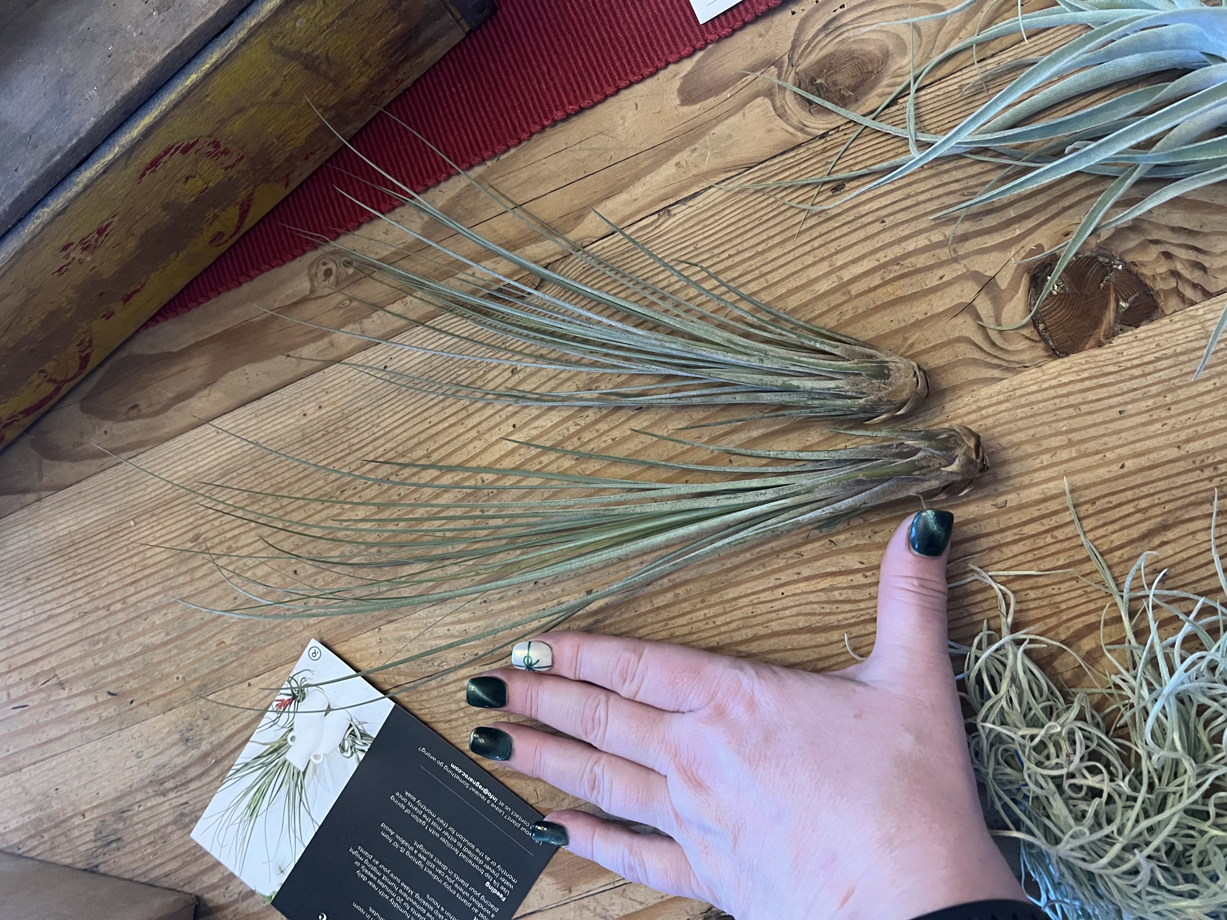 Photo from the post