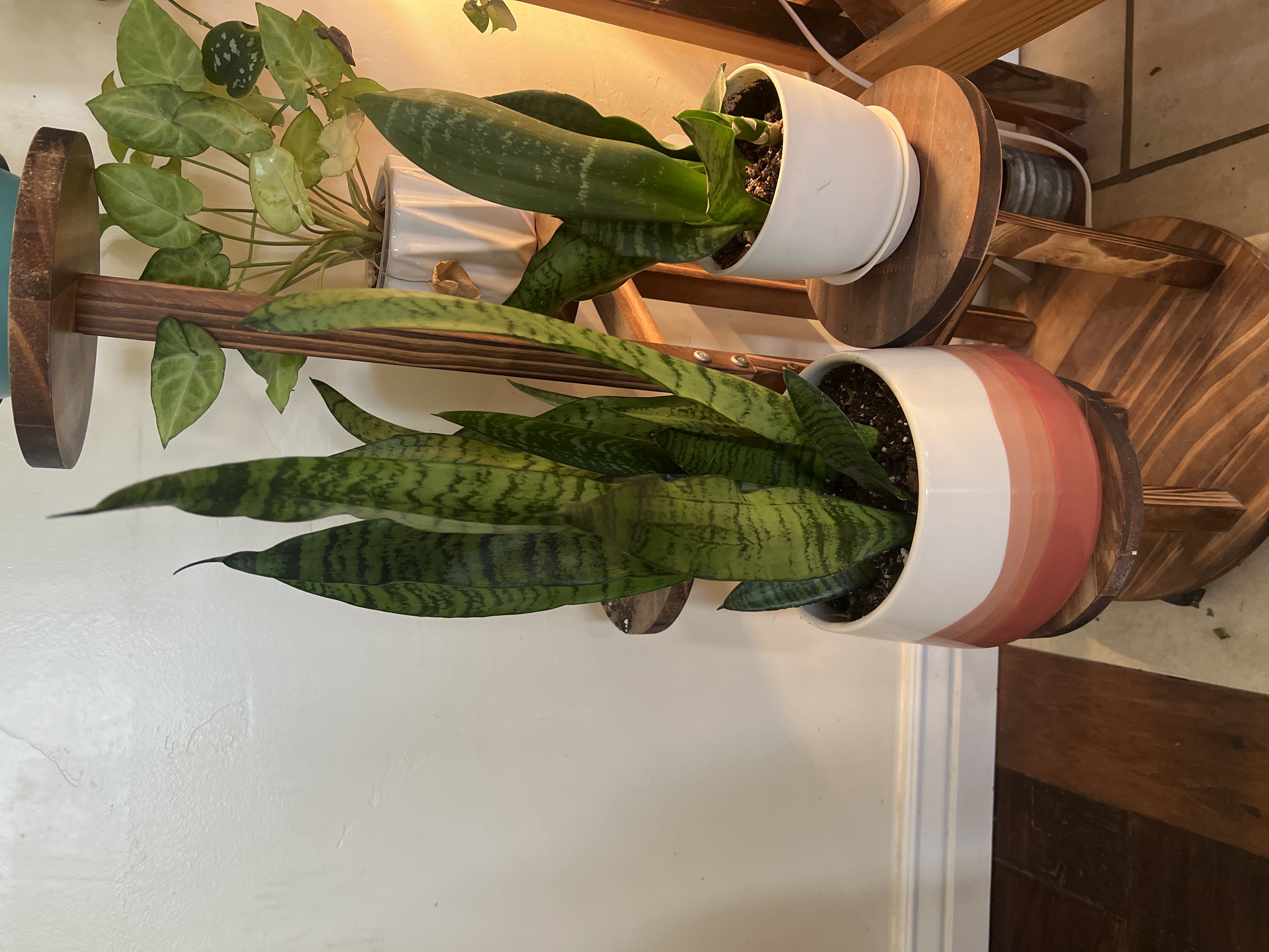 Photo from the post