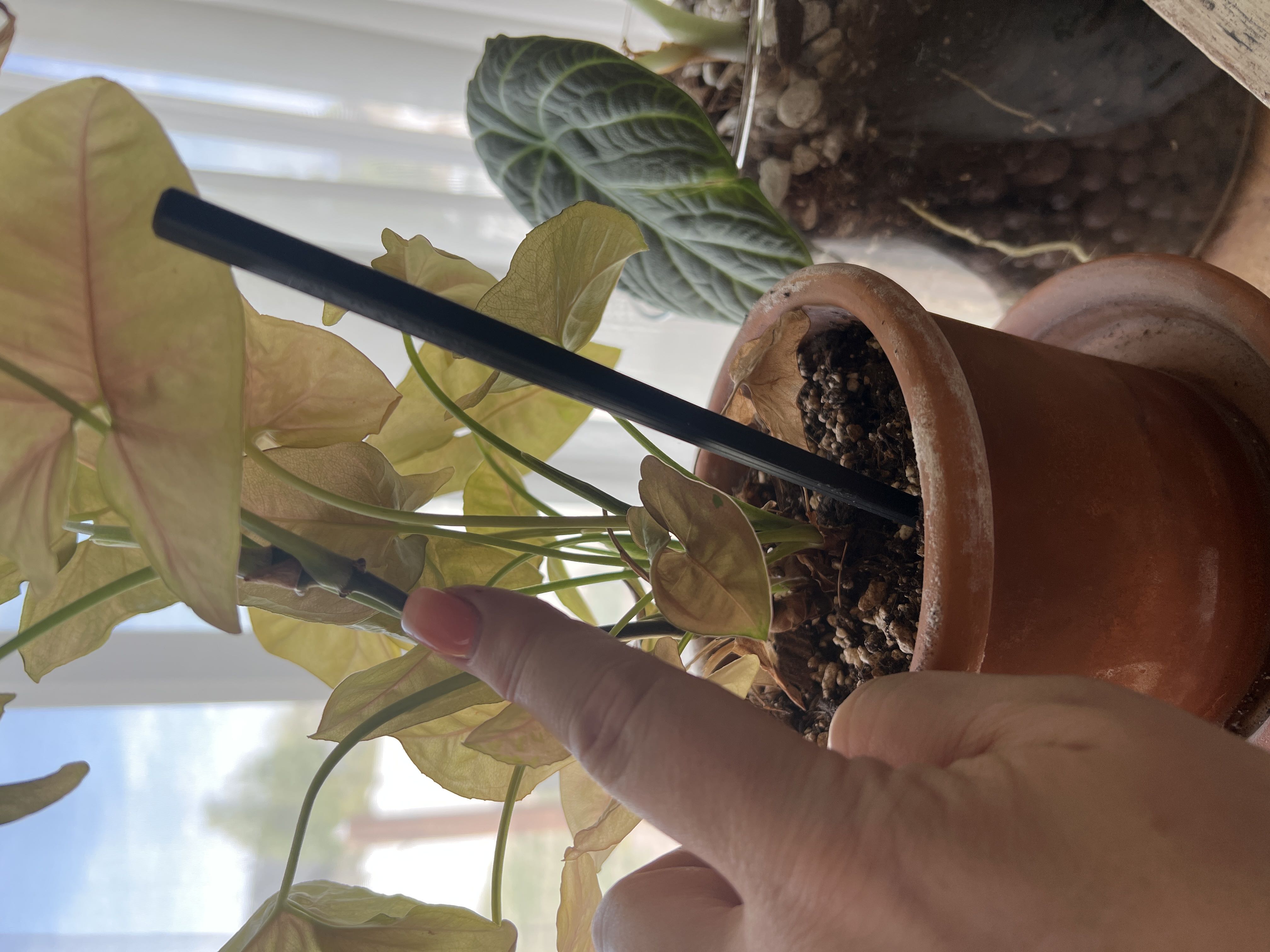Photo from the post