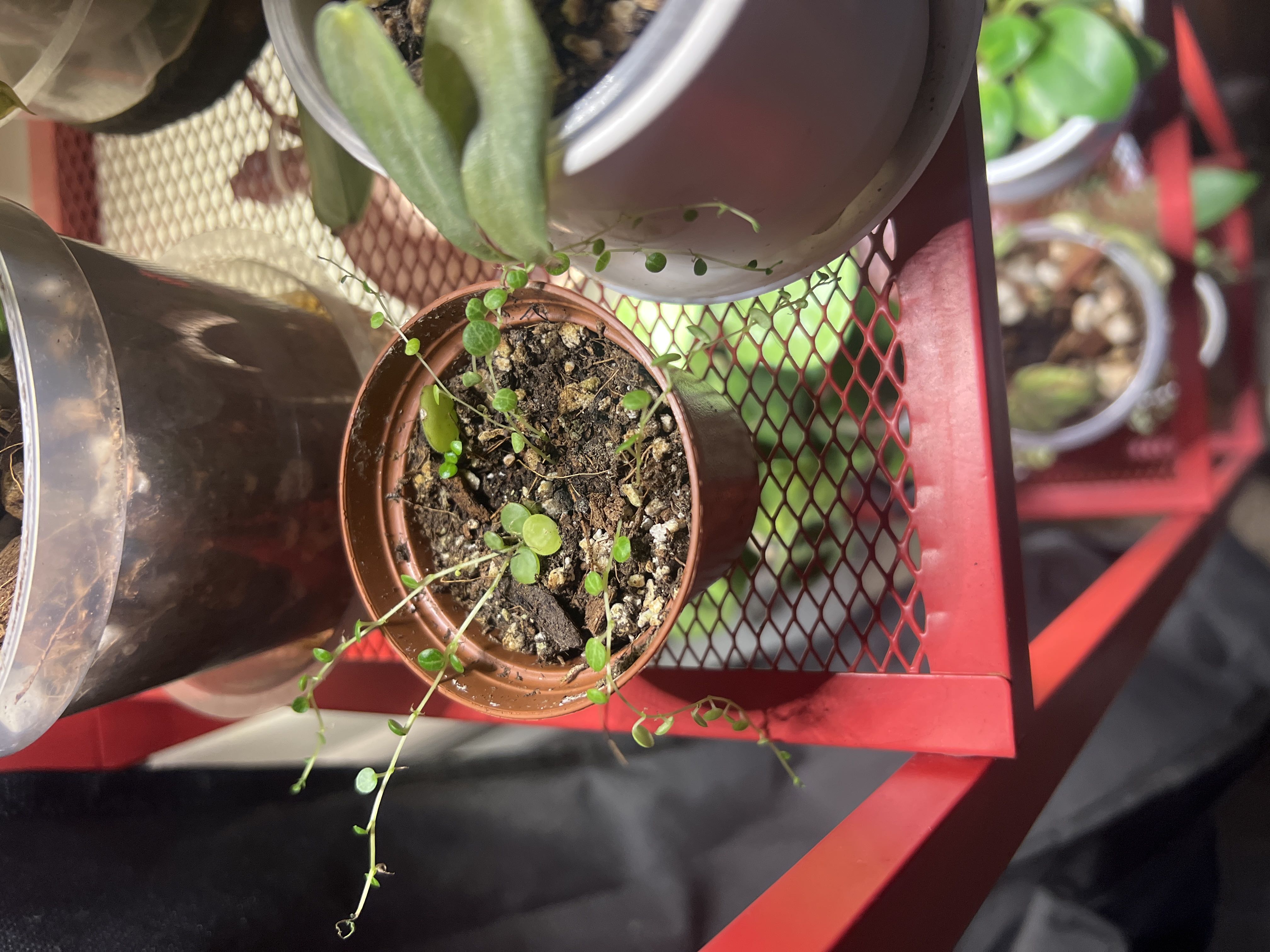 Photo from the post
