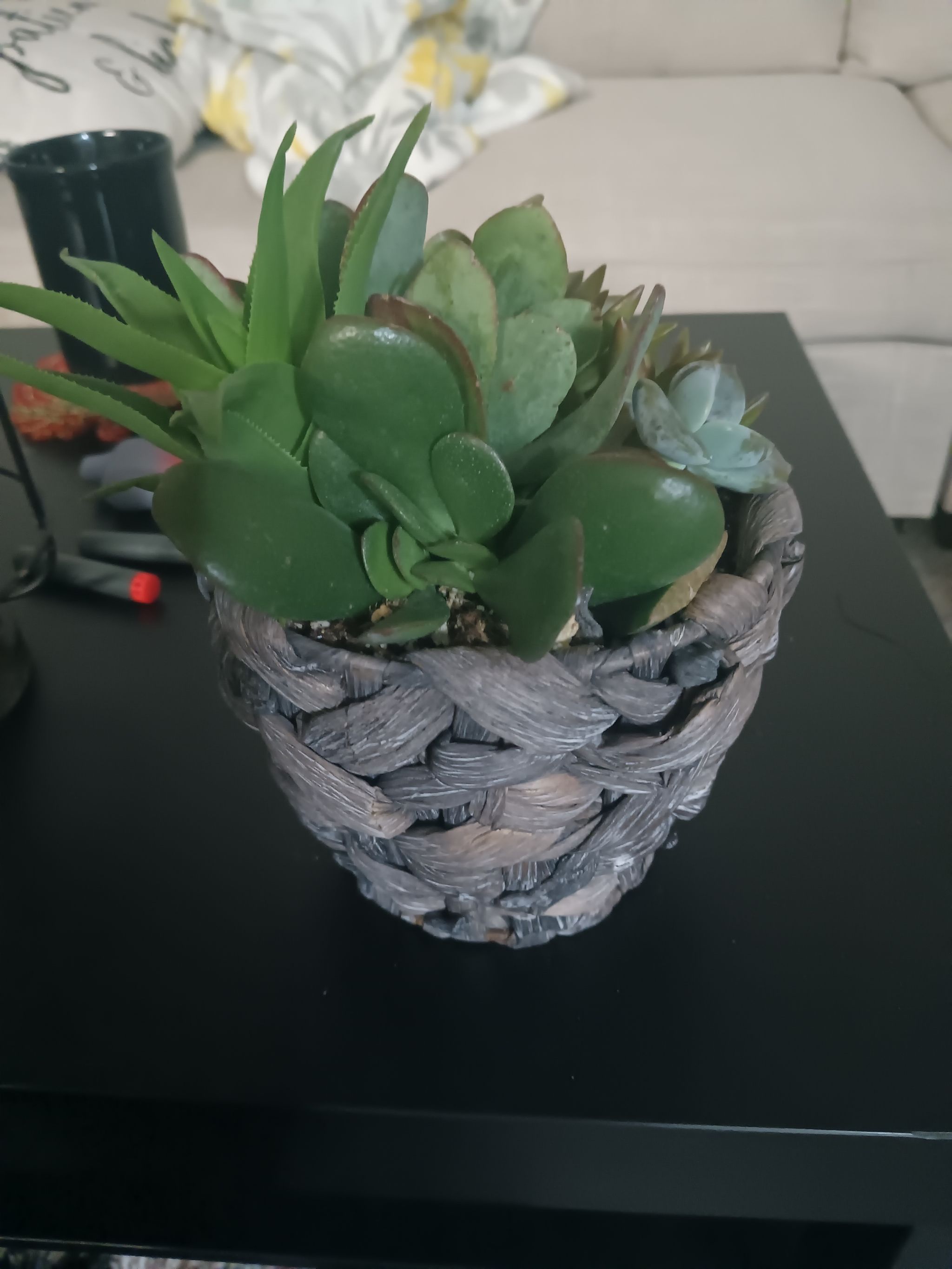 Photo from the post