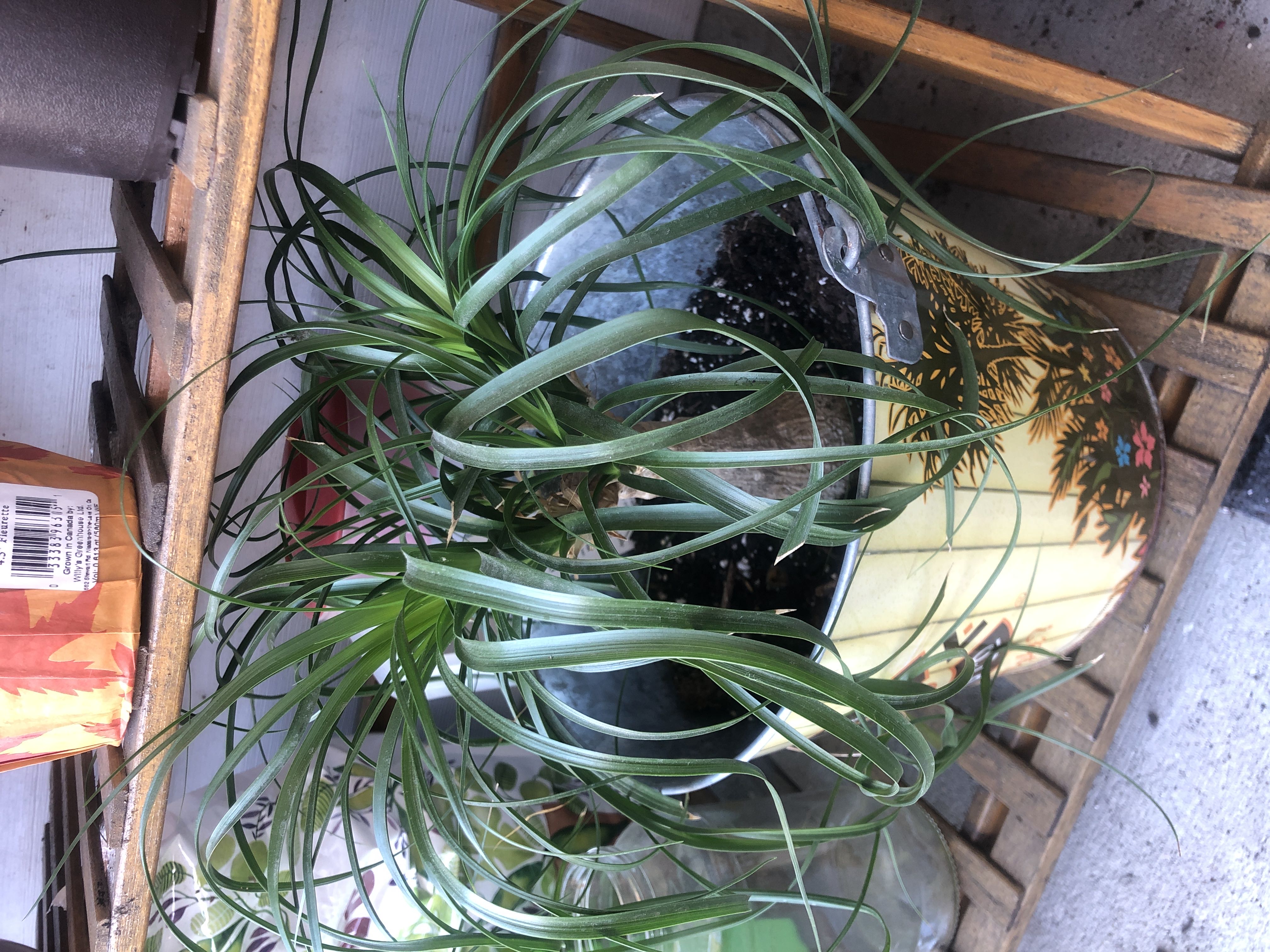 Photo from the post