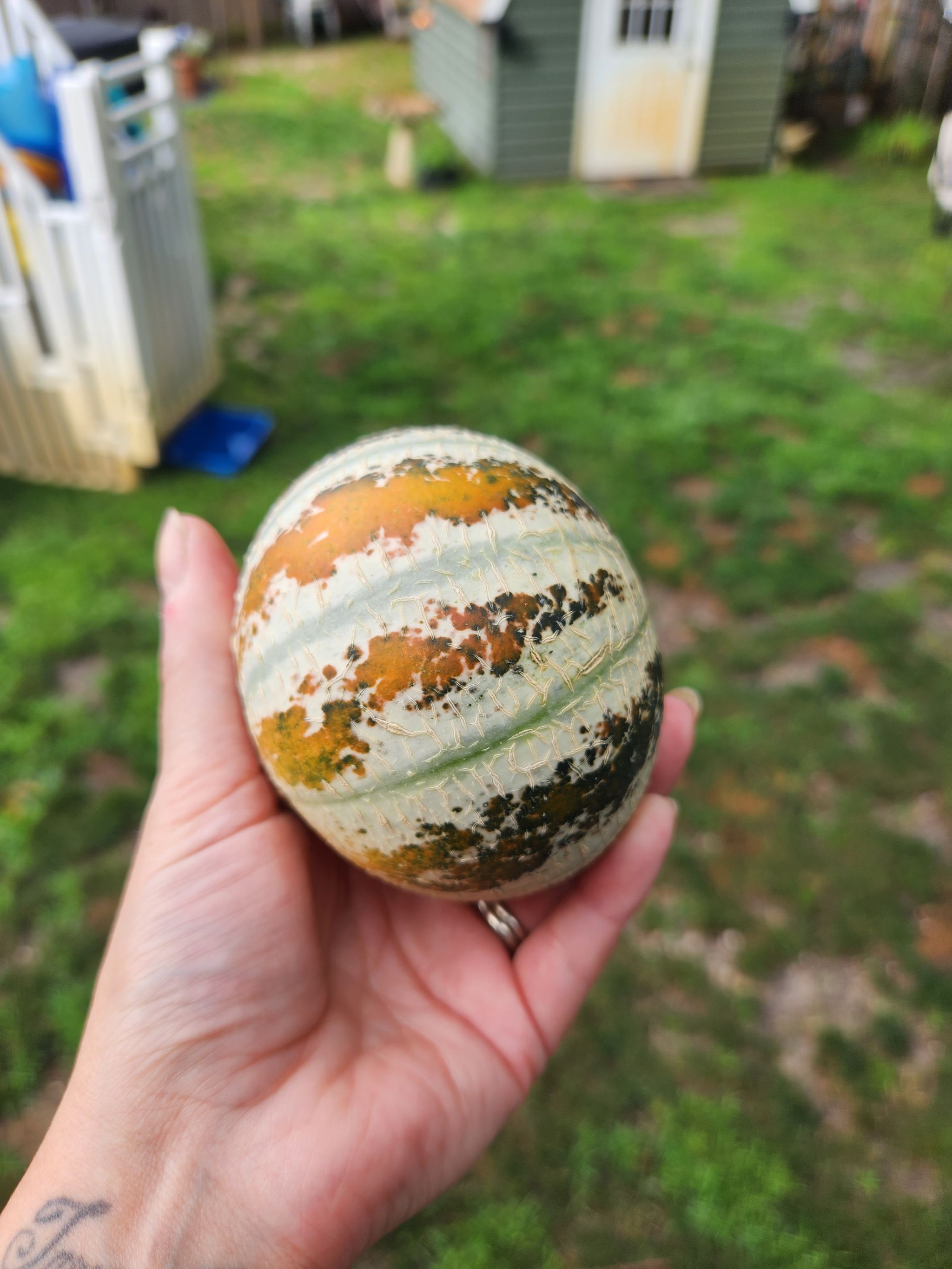 Photo from the post
