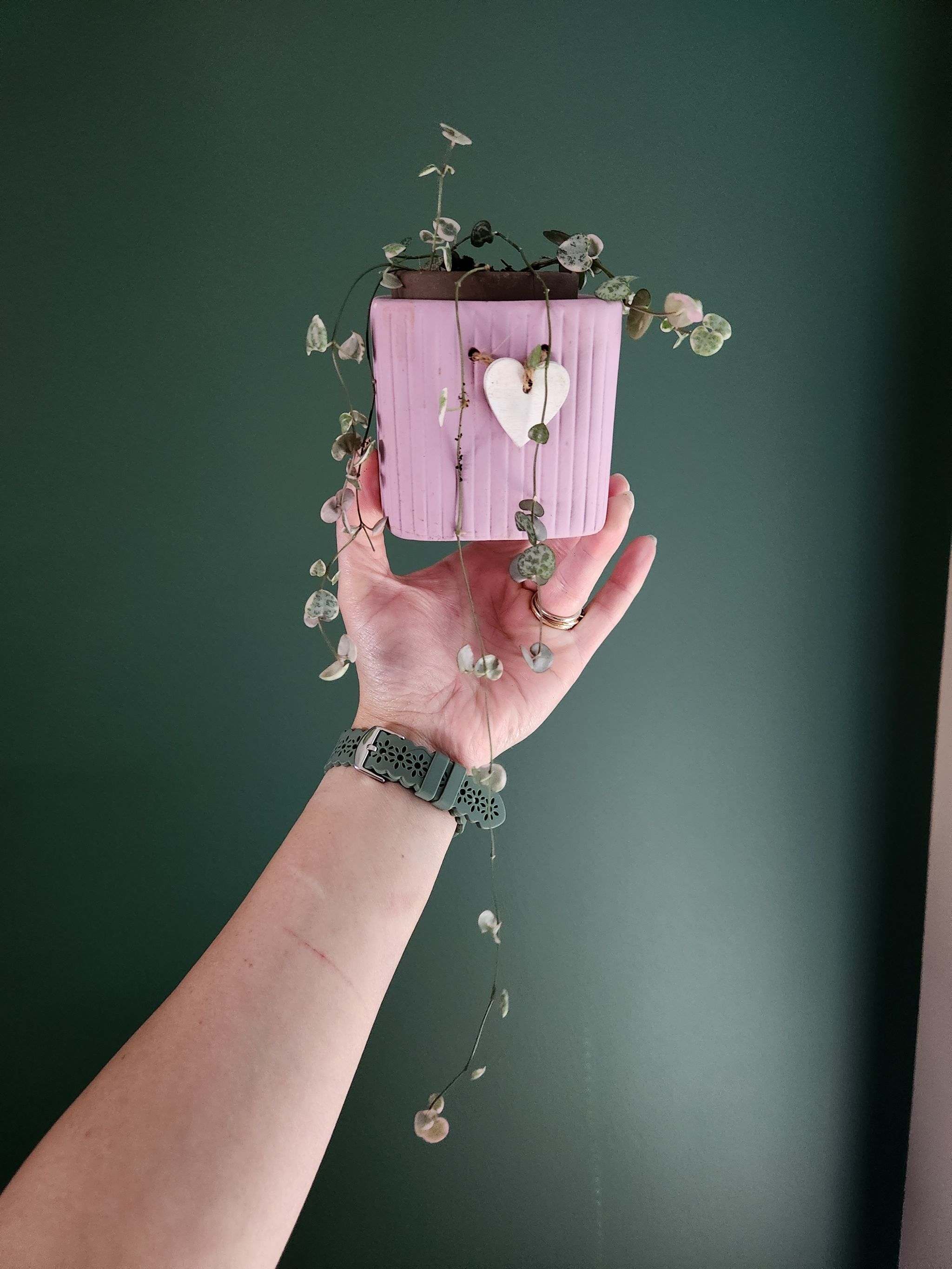 Photo from the post