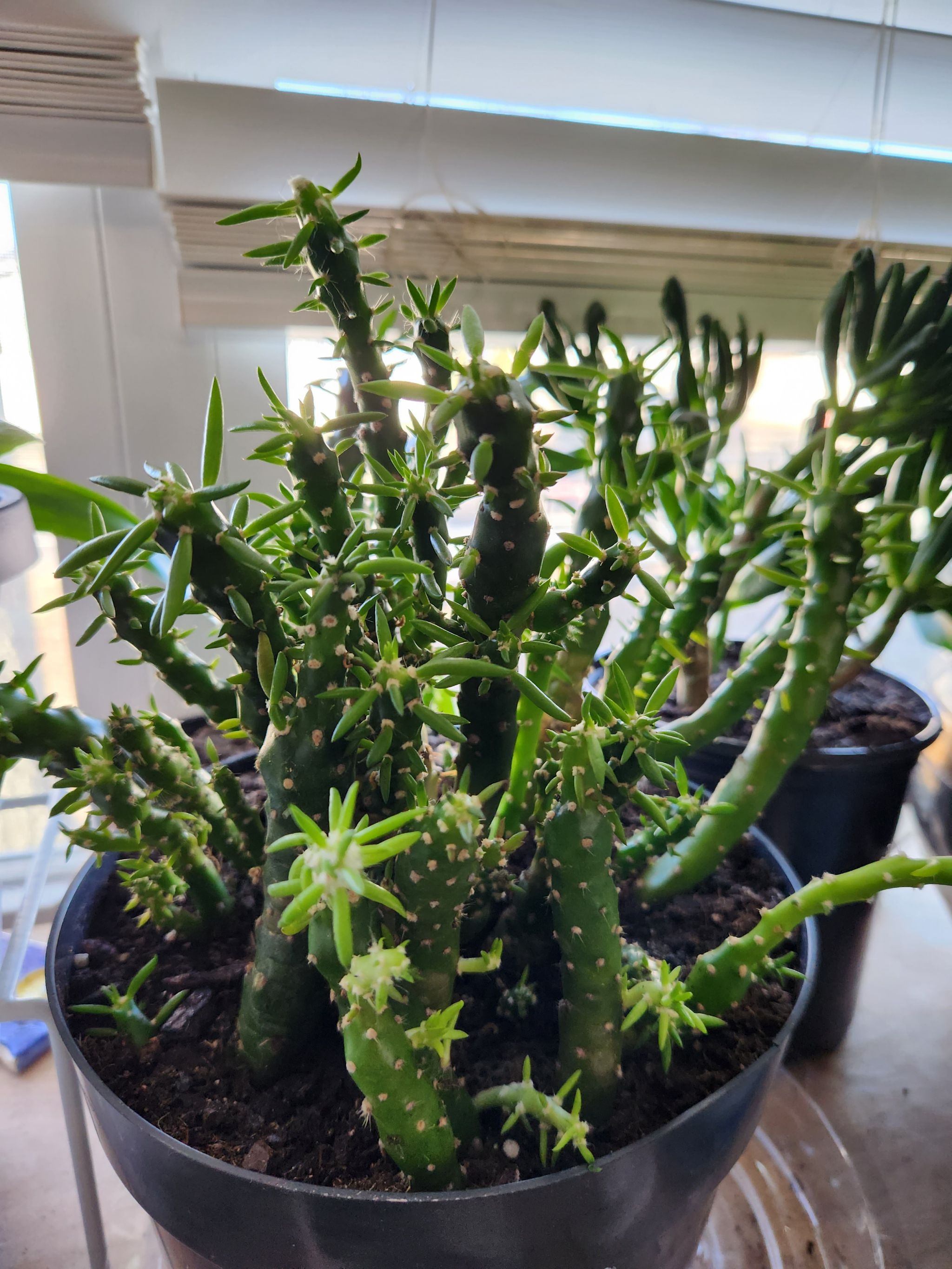 Photo from the post
