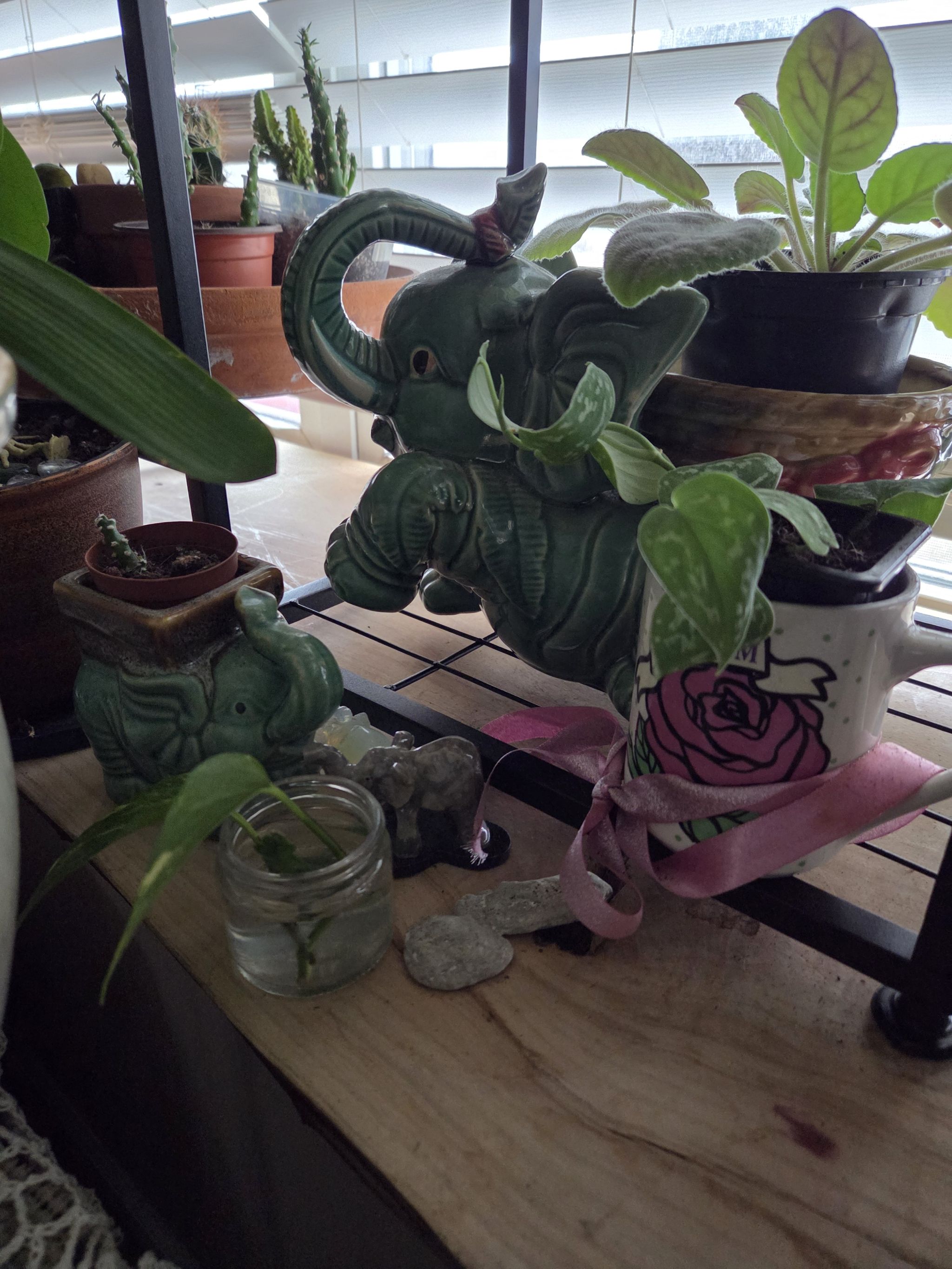 Photo from the post