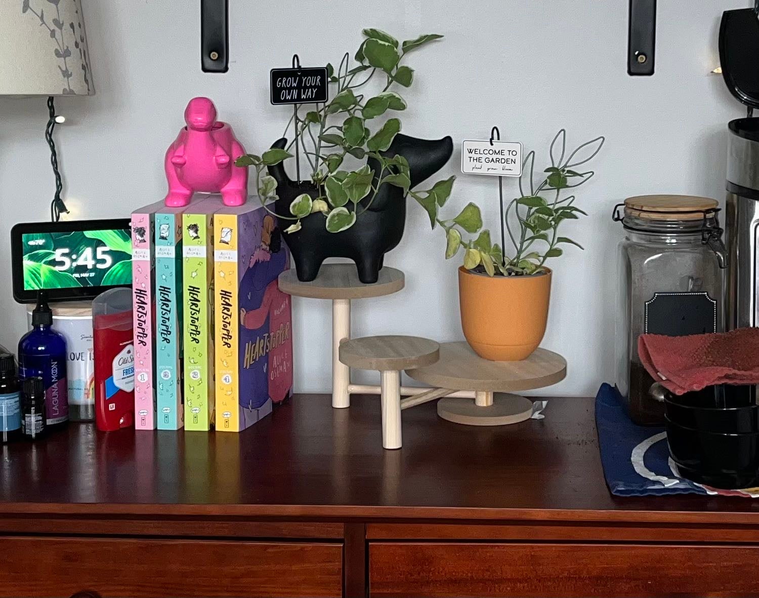 How to Fix Black Spots on Your Vinca 🩹