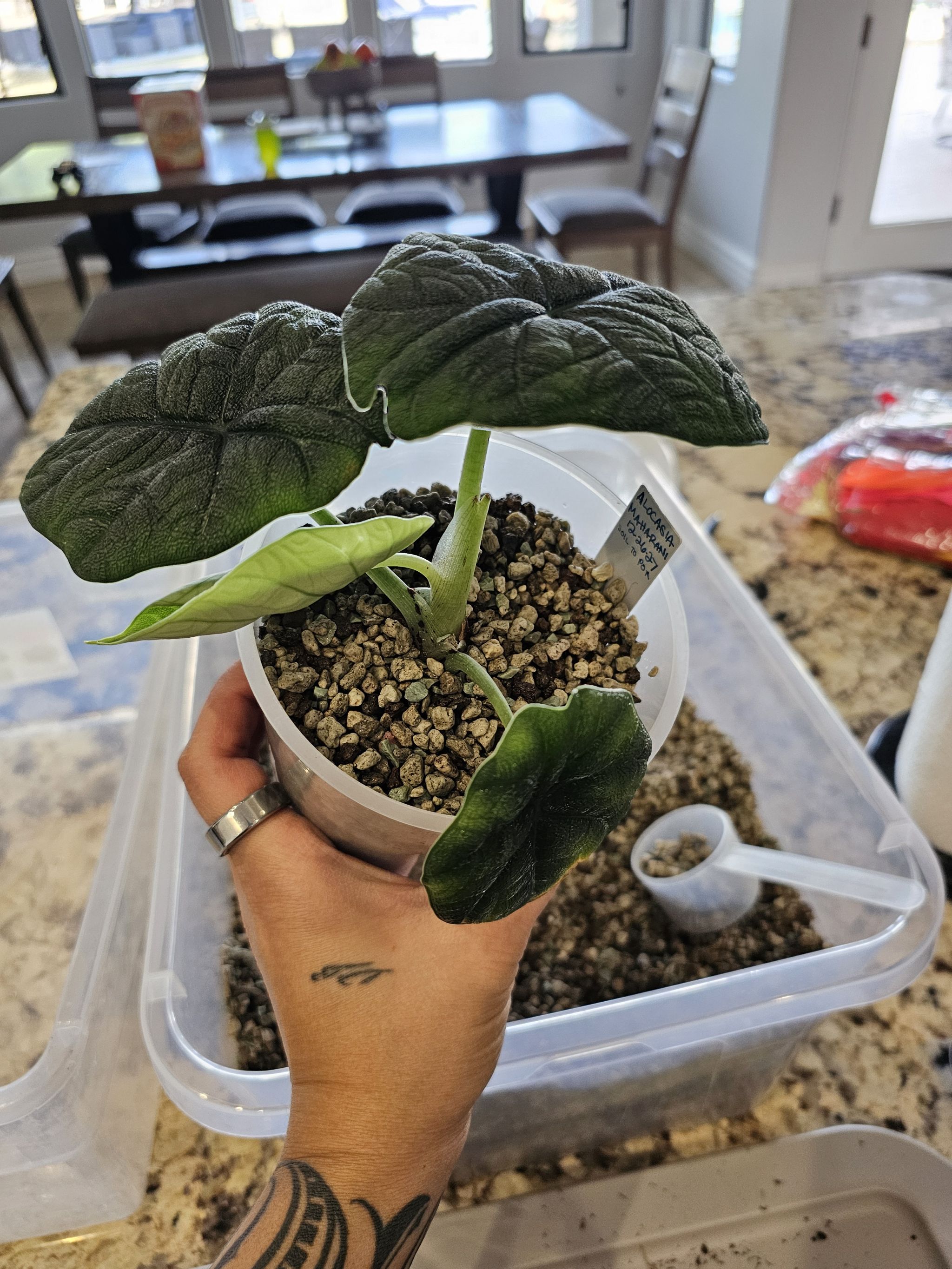 Photo from the post