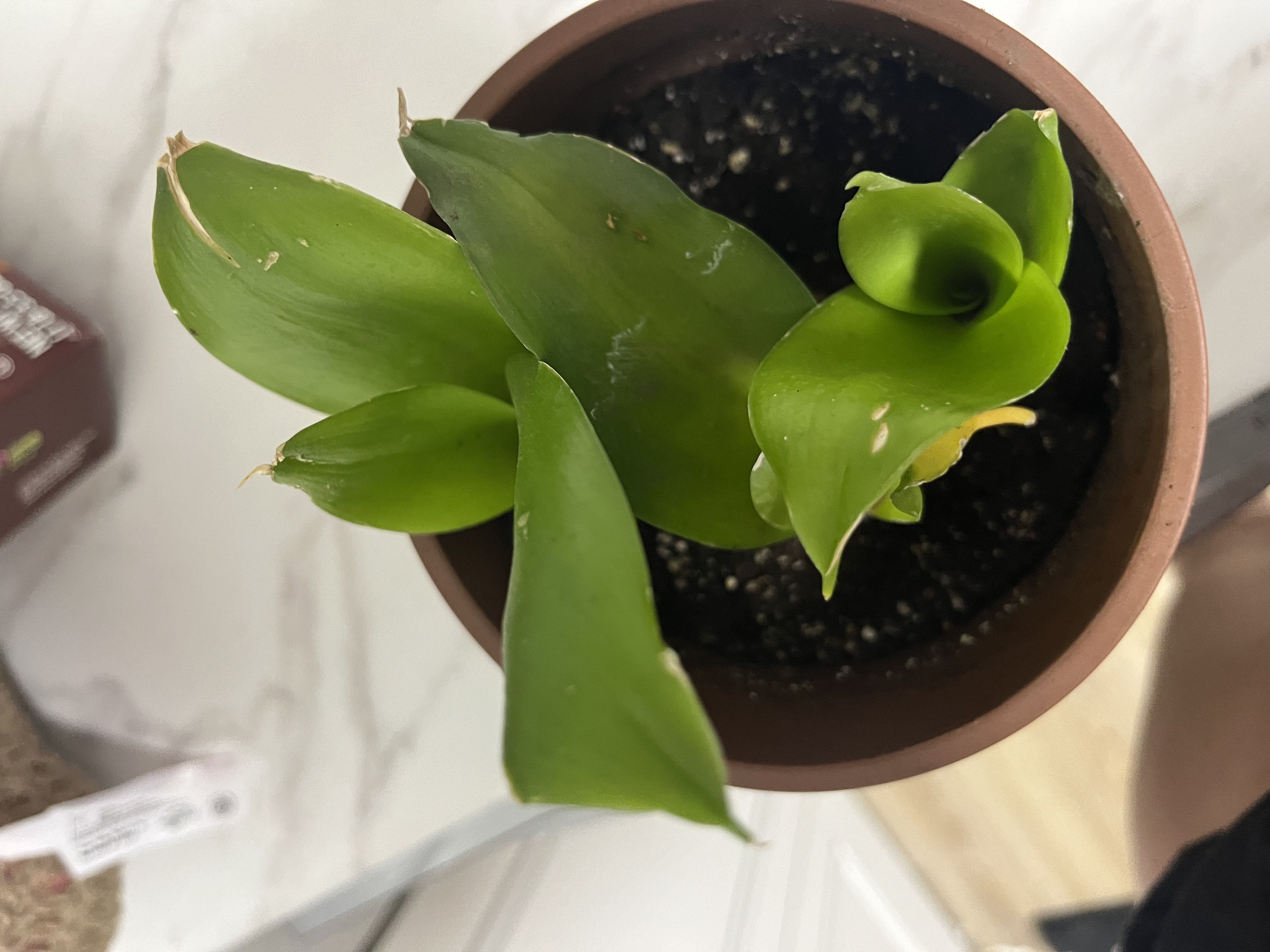 Photo from the post