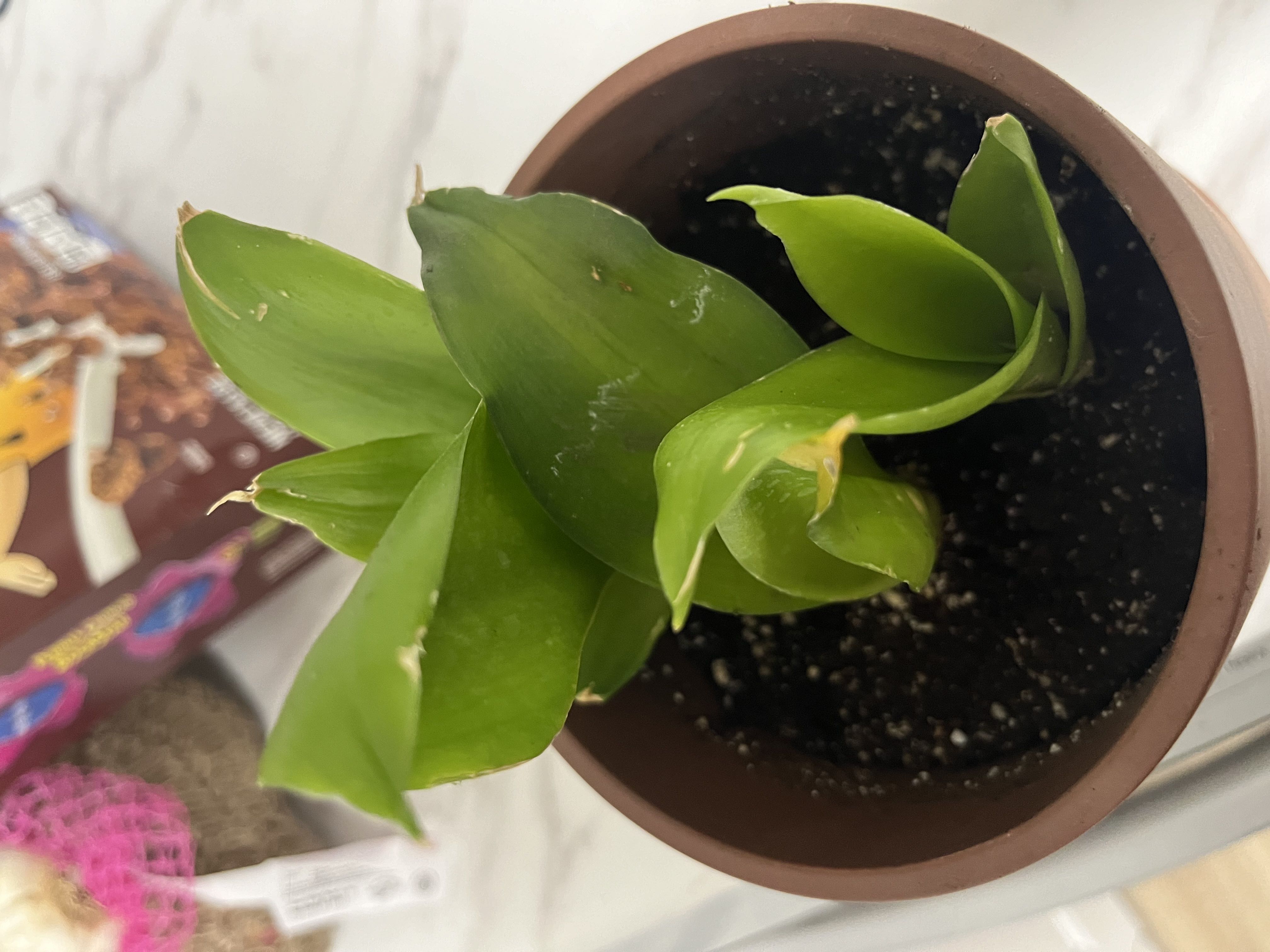 Photo from the post