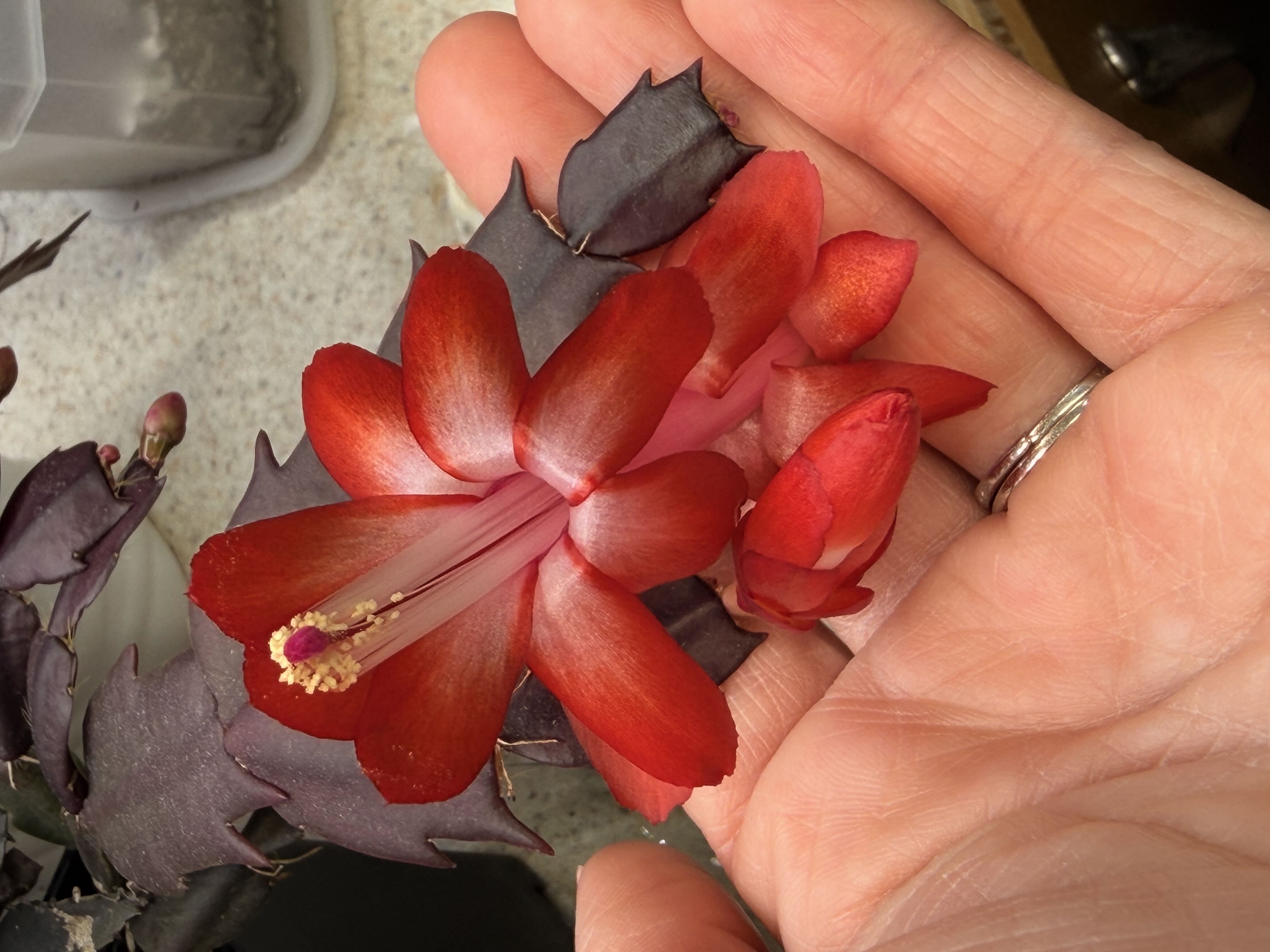 Photo from the post