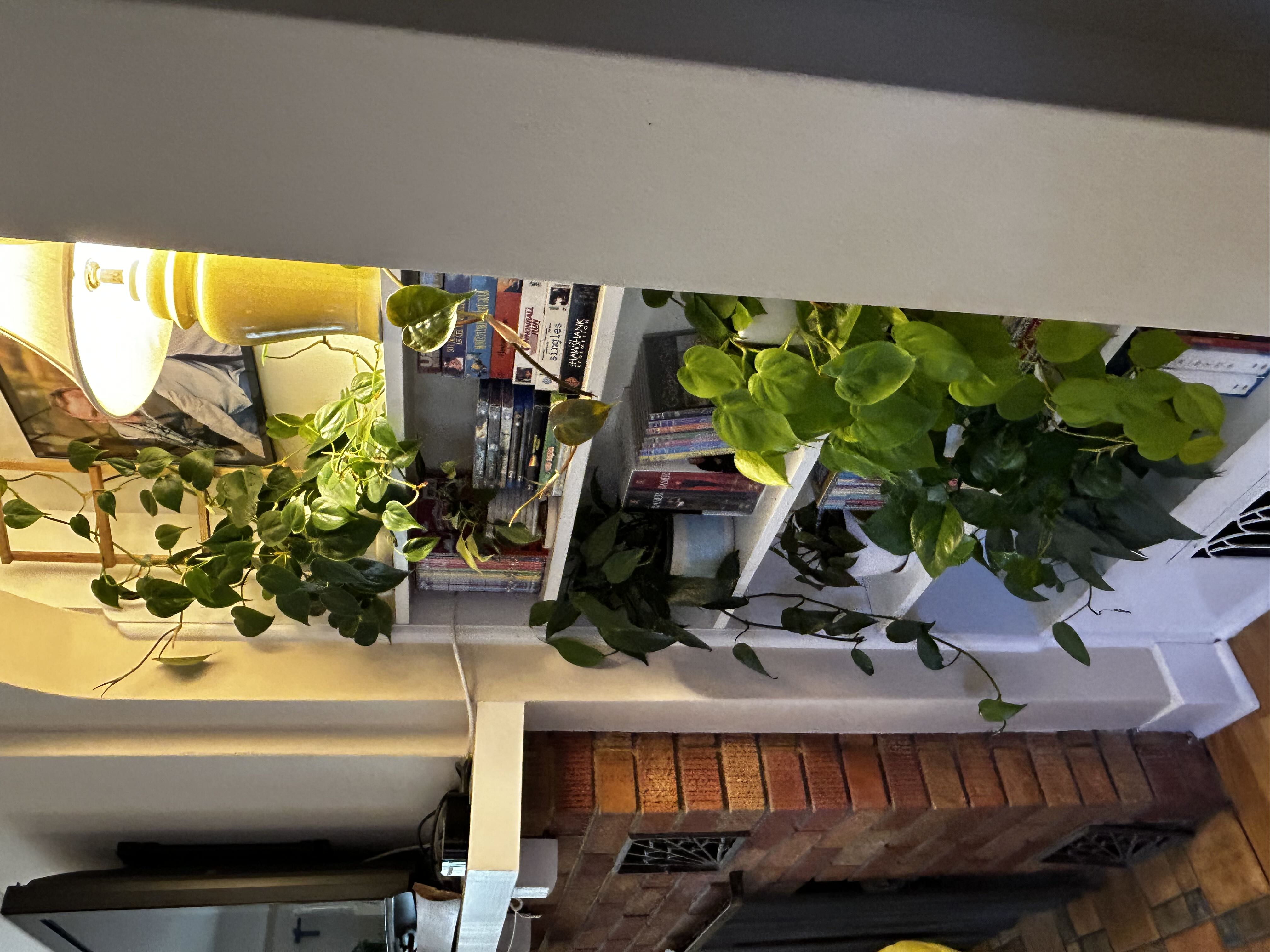 Photo from the post