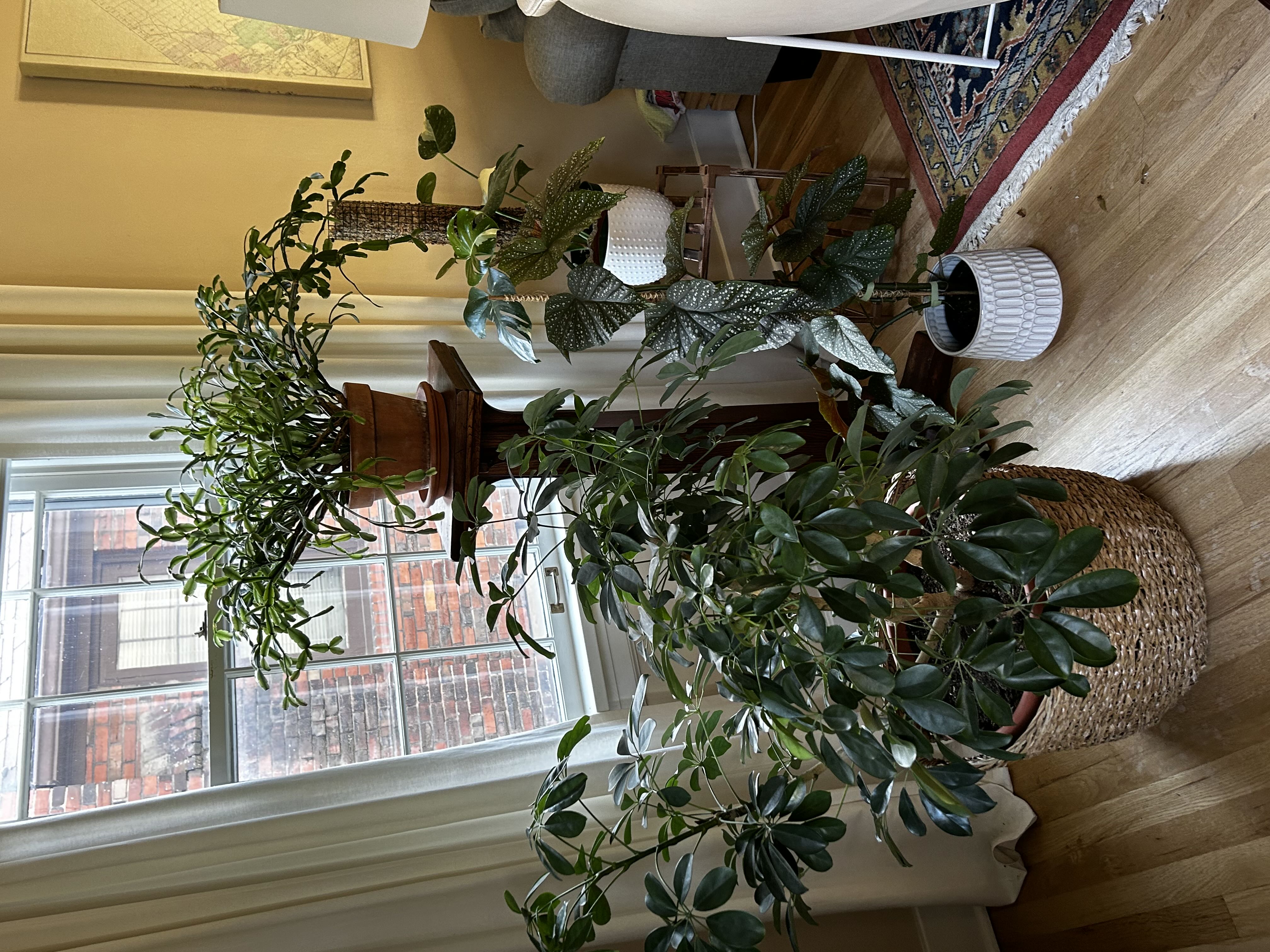 Photo from the post