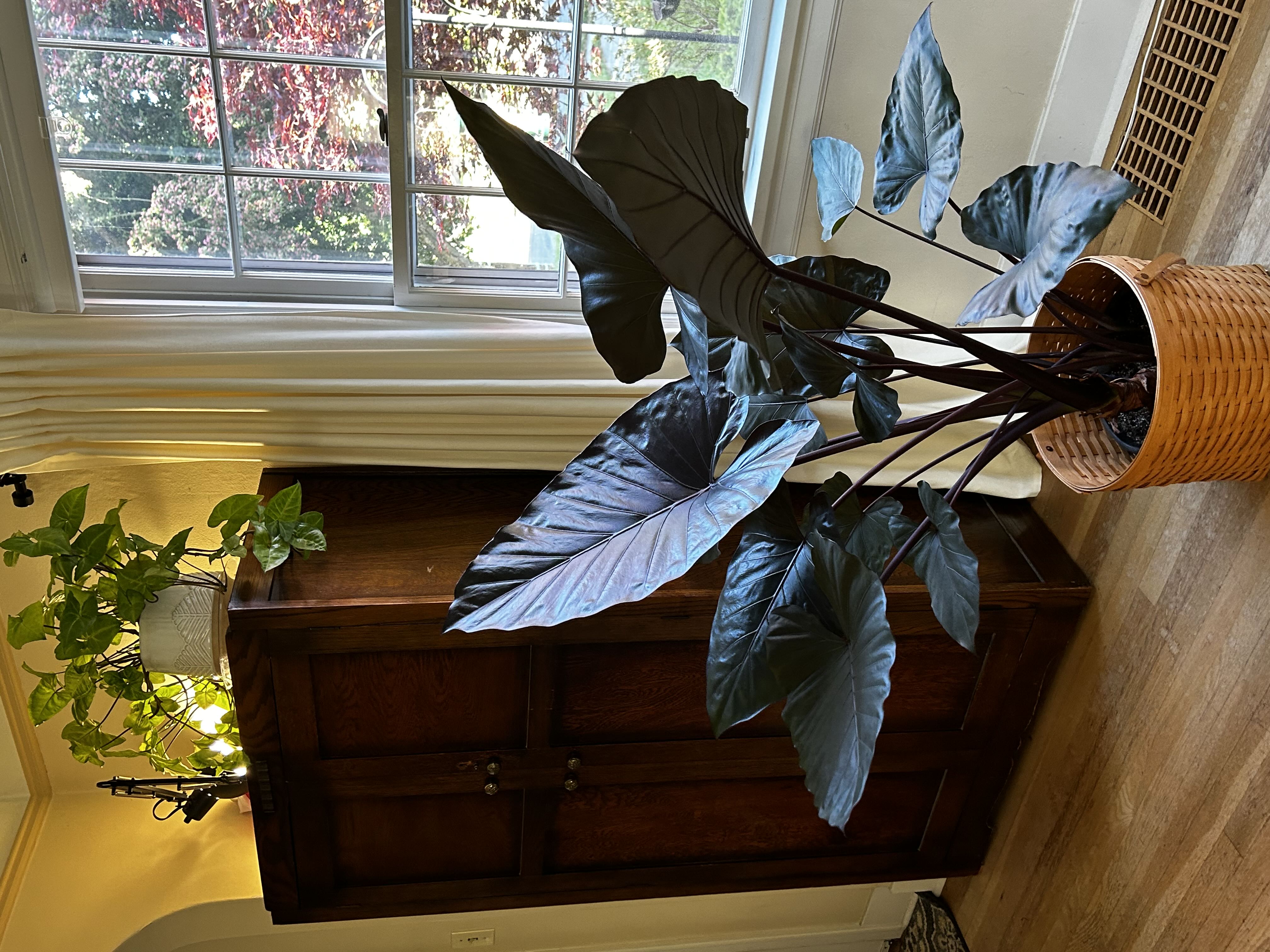 Photo from the post